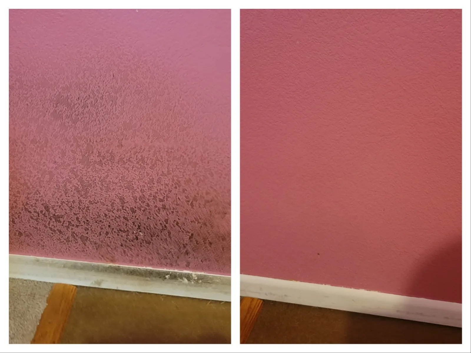 Side-by-side comparison of a pink wall showing mold and dirt buildup on the left and a clean pink wall on the right.