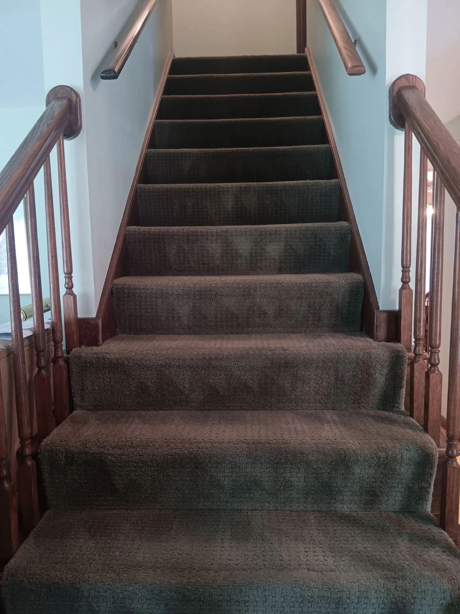 Carpeted staircase with dark brown carpet and wooden handrails on both sides inside a house.