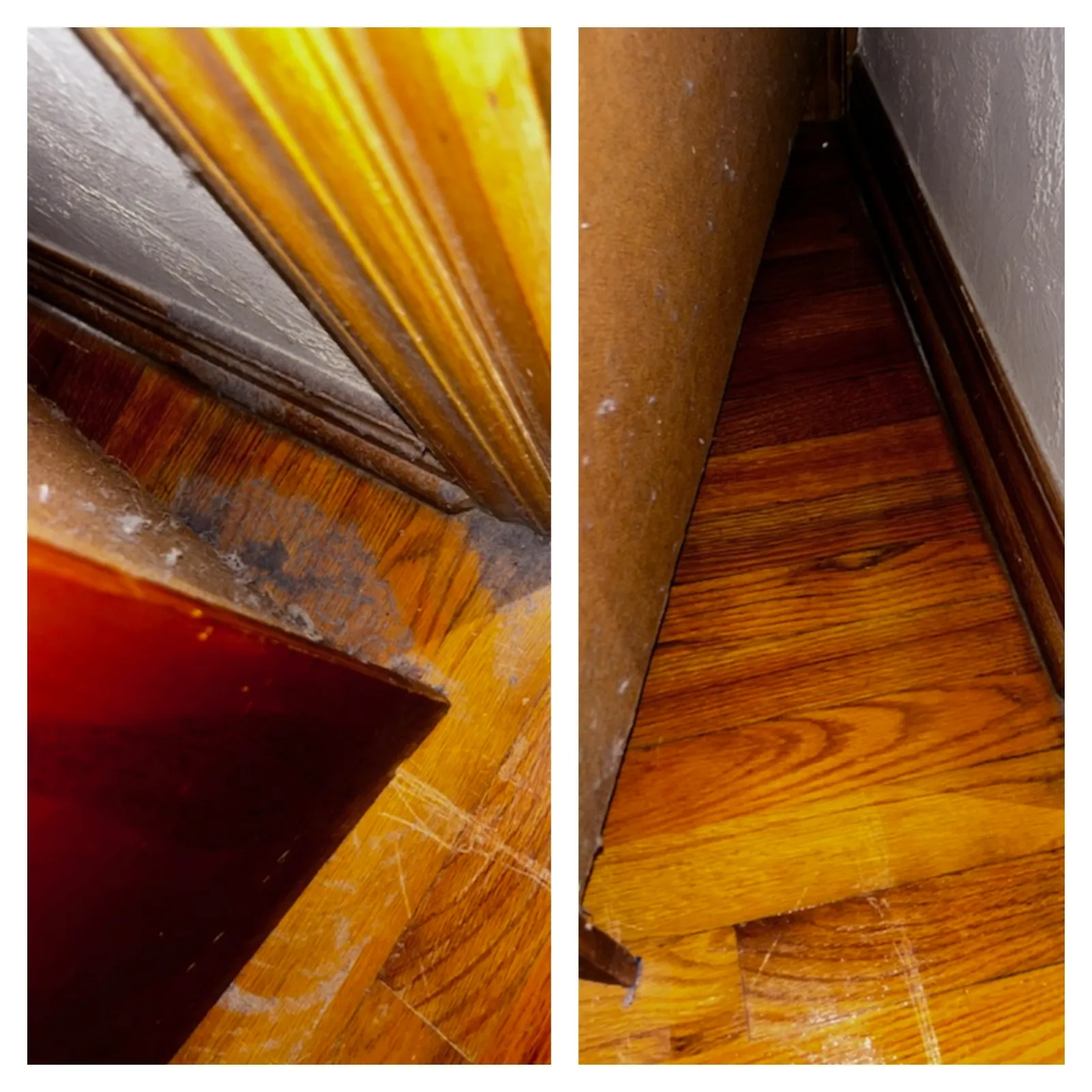 Close-up comparison of scratched and clean hardwood floor corners near walls and furniture by the professionals from MaidPro Denver