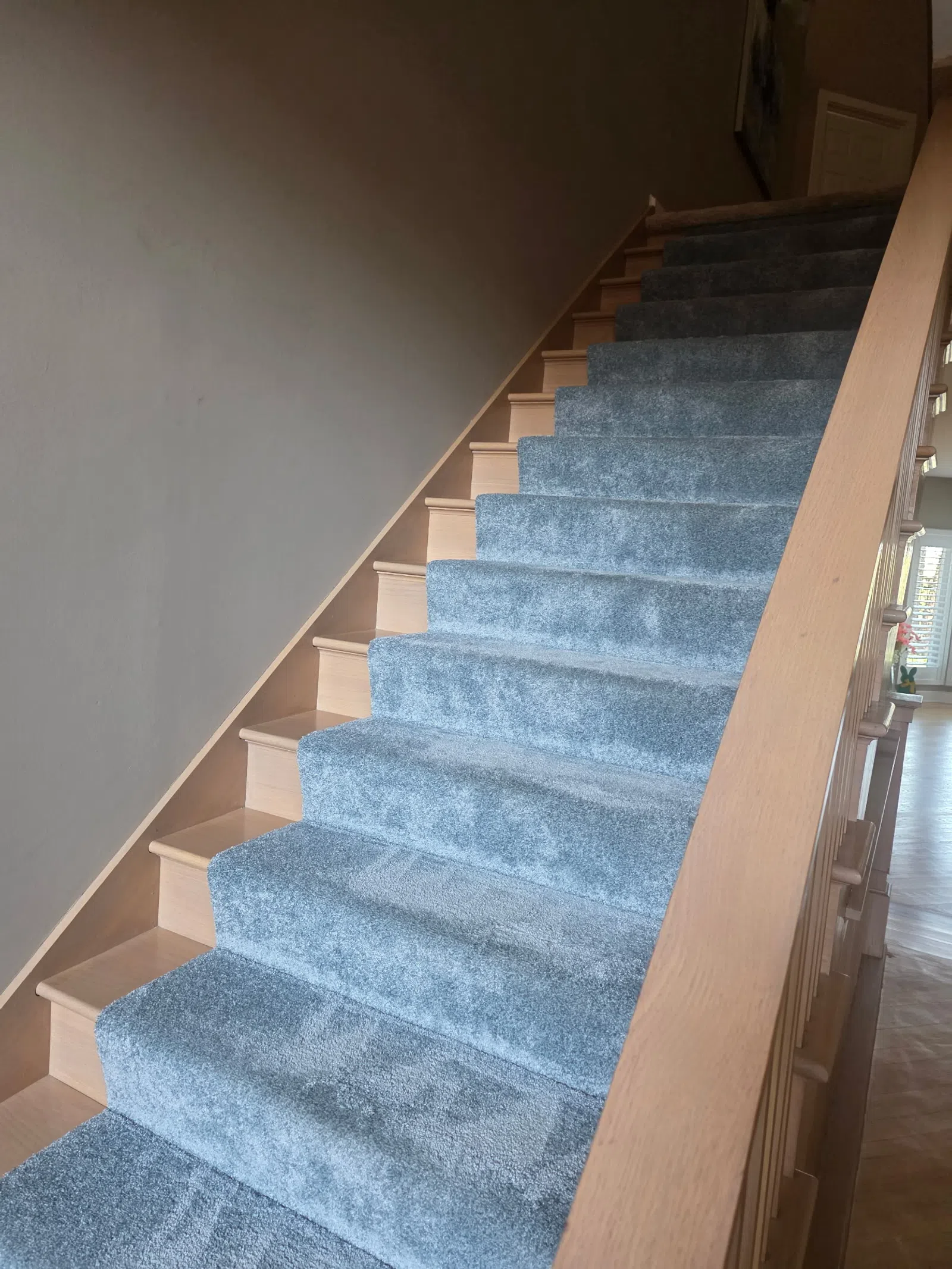 Indoor wooden staircase covered with soft blue-gray carpet runner and light brown handrail.