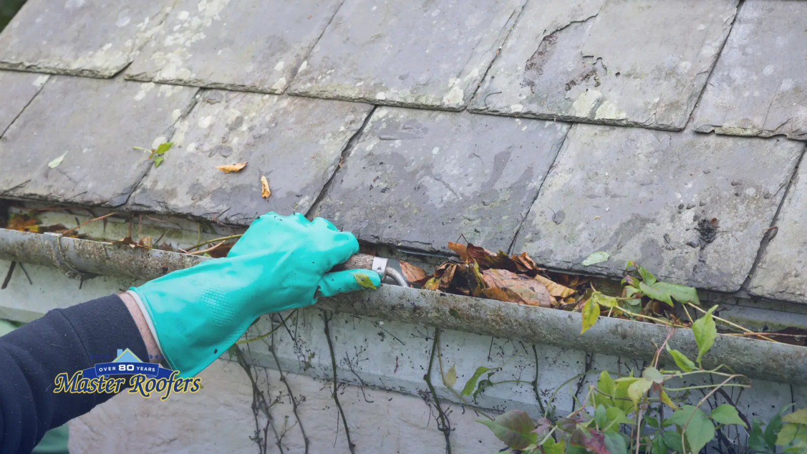 Lady cleaning Gutters