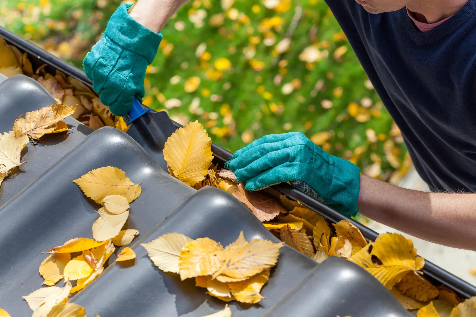 Clogged Roofing