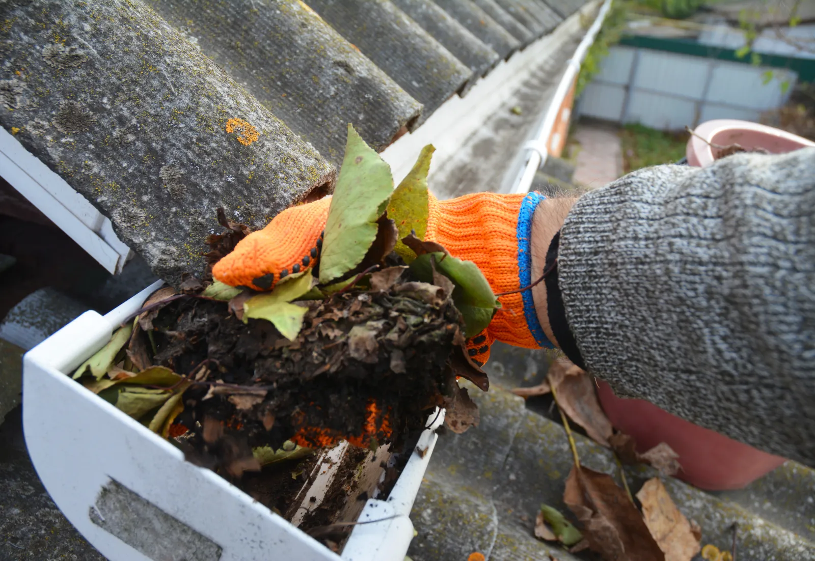 Clogged Gutters