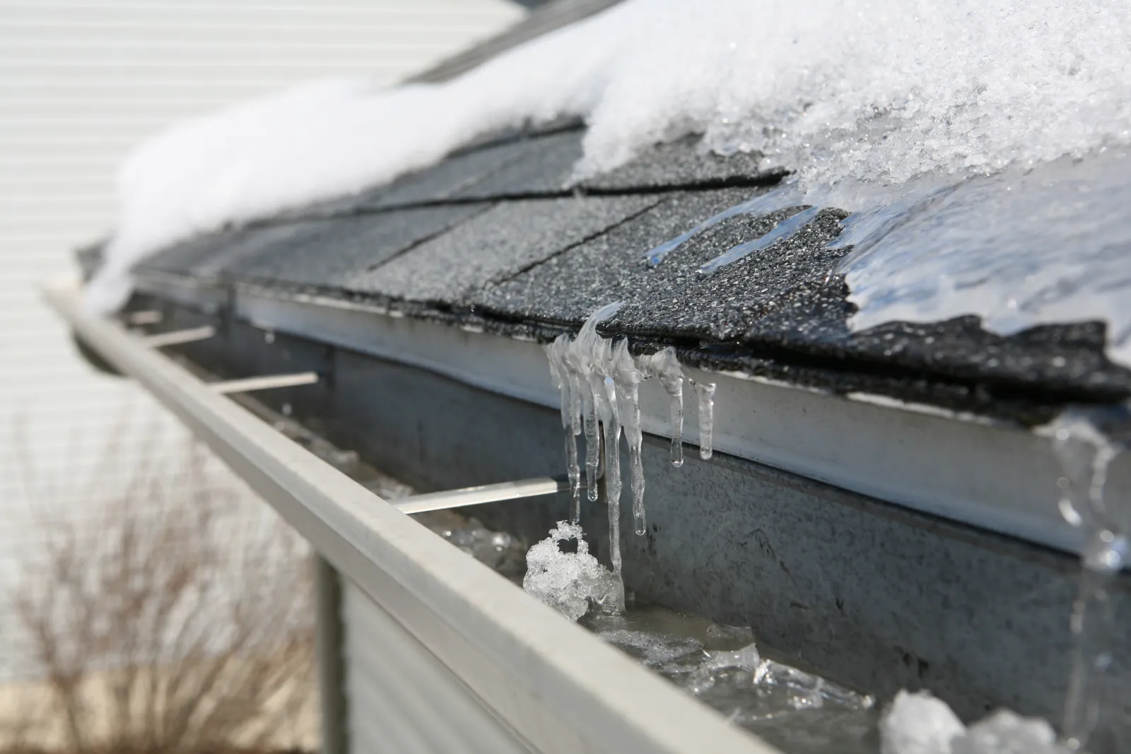 water shield roof