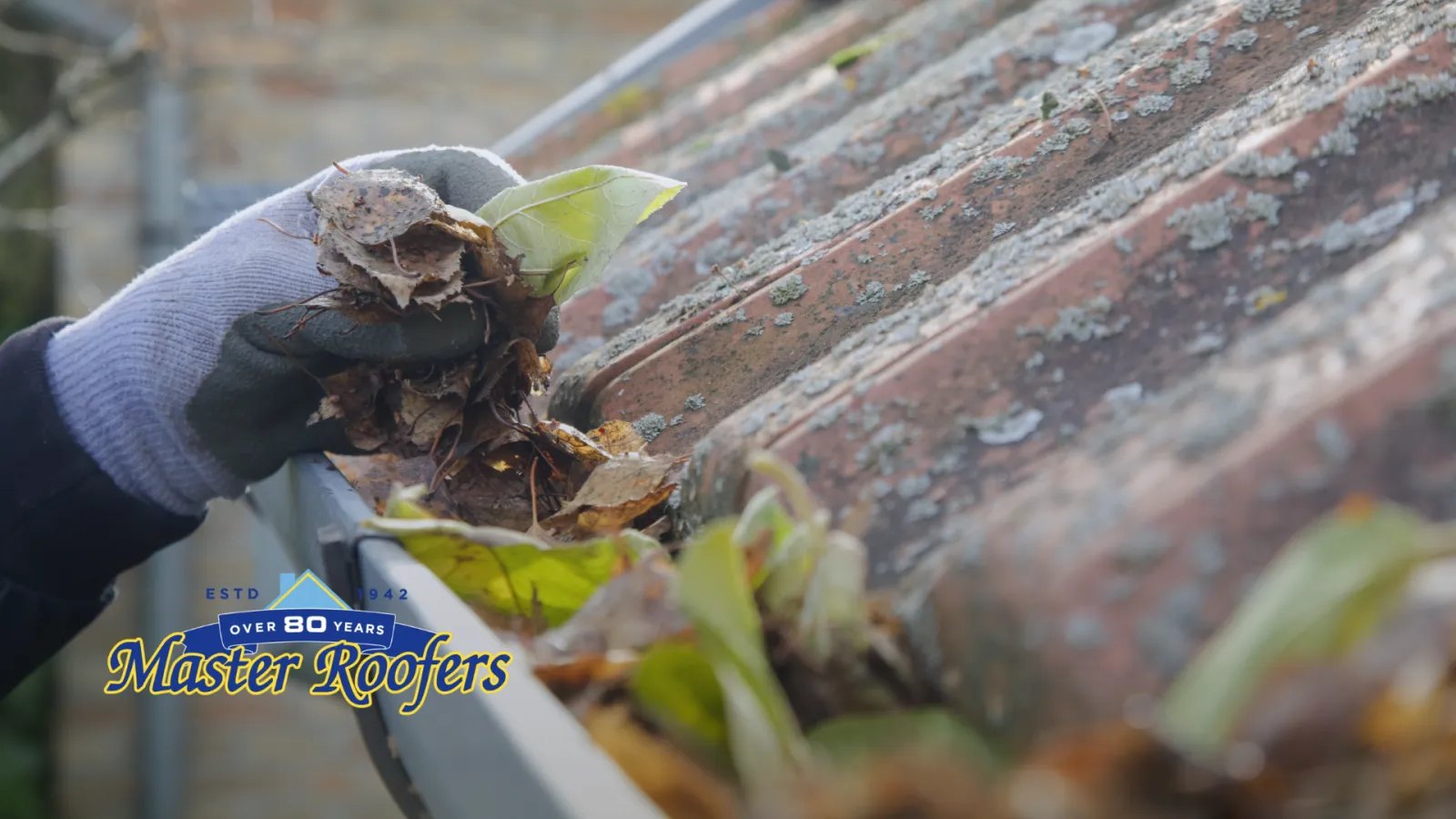 Leaves Roof gutter cleaning by worker