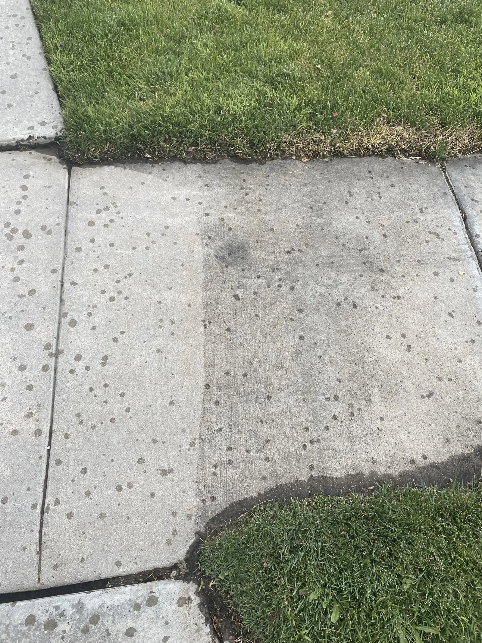 a sidewalk with grass and a sidewalk