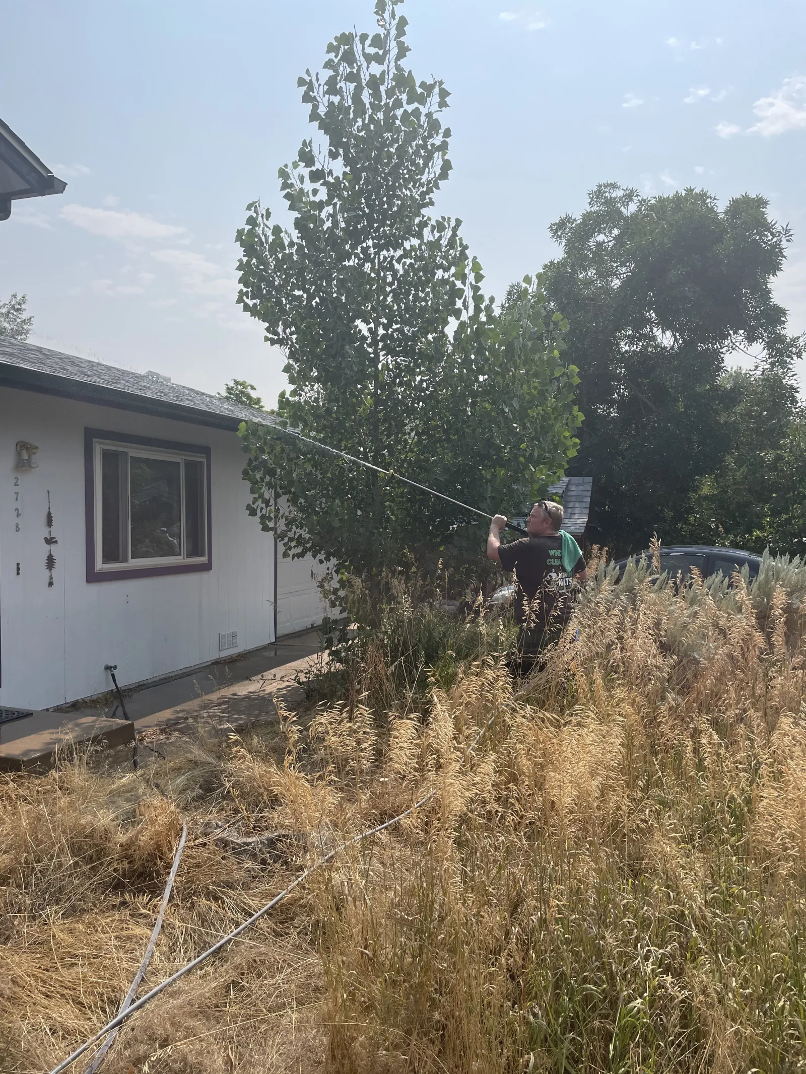 a person cutting a tree