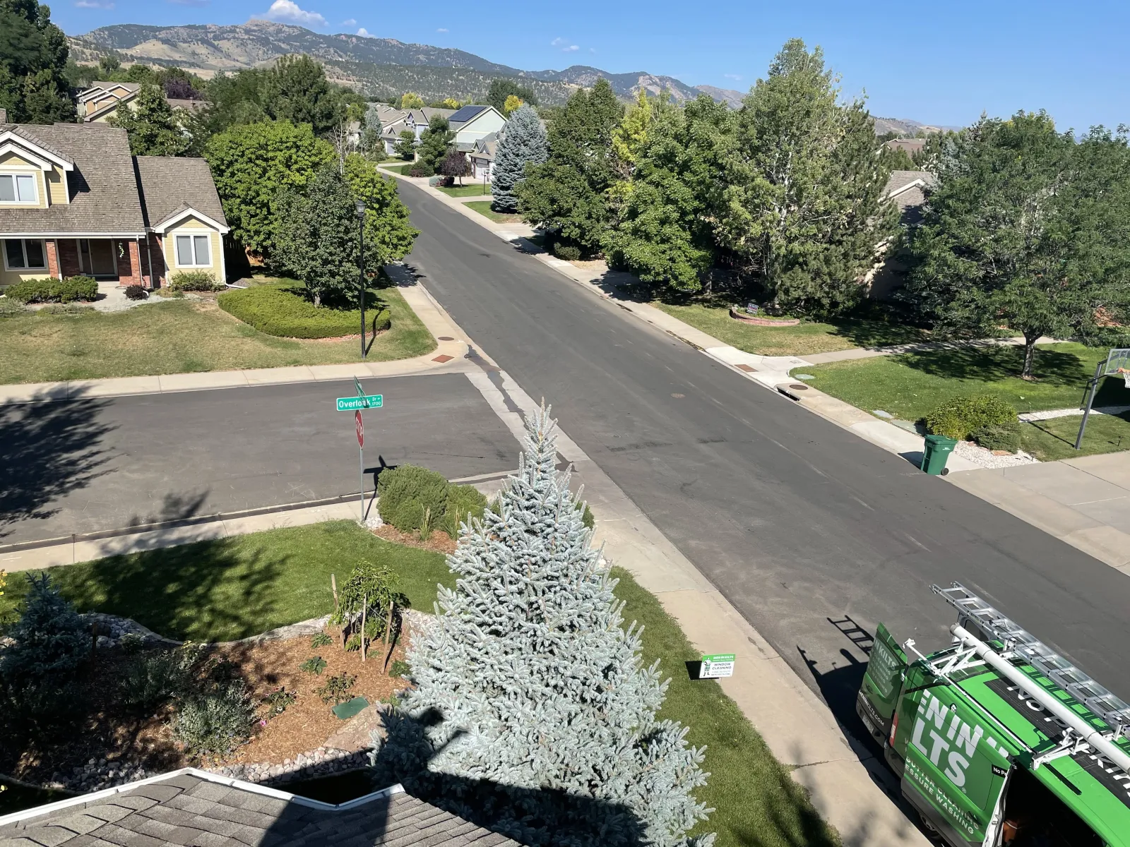 a tree in a neighborhood