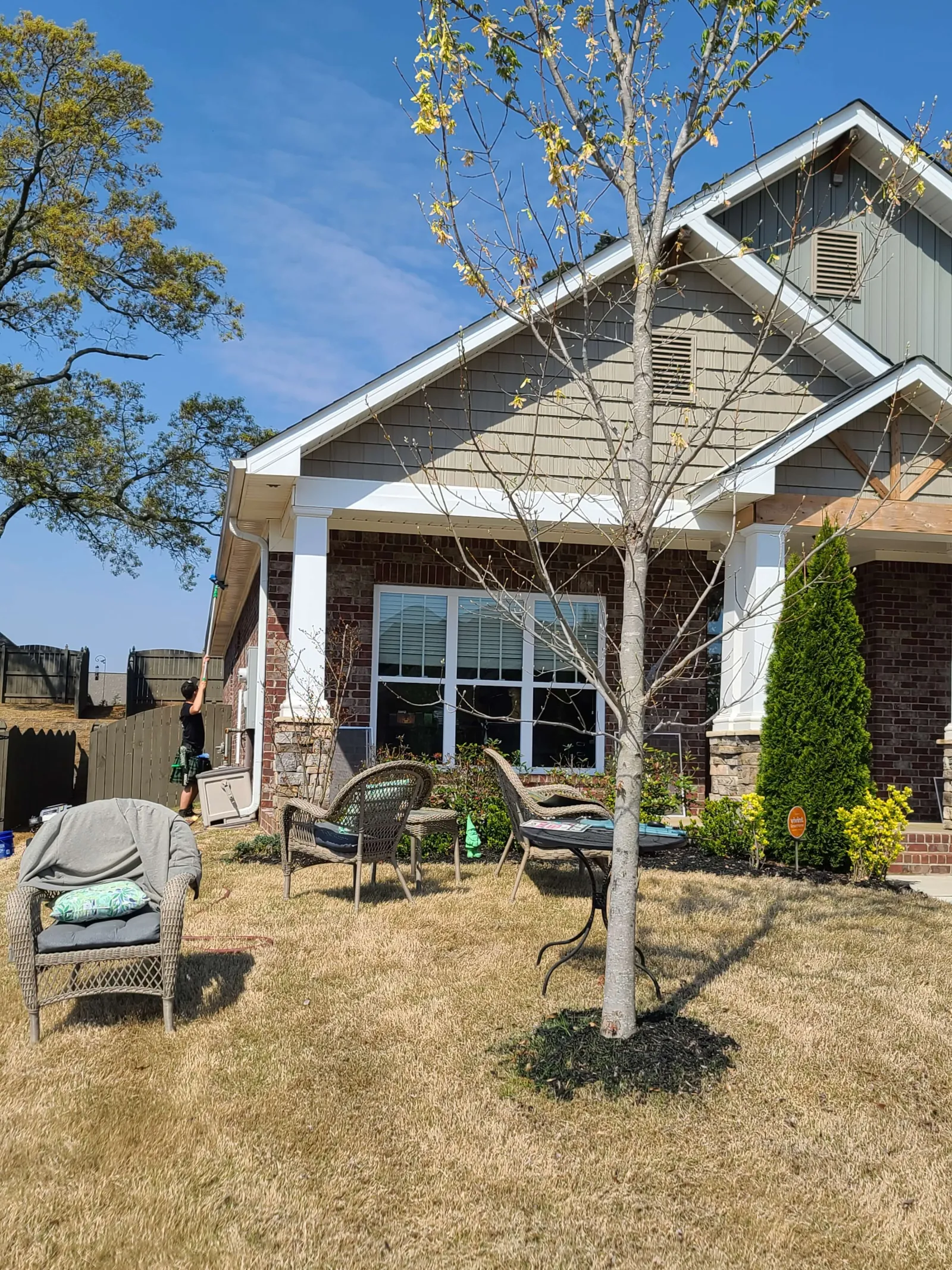 a tree in front of a house