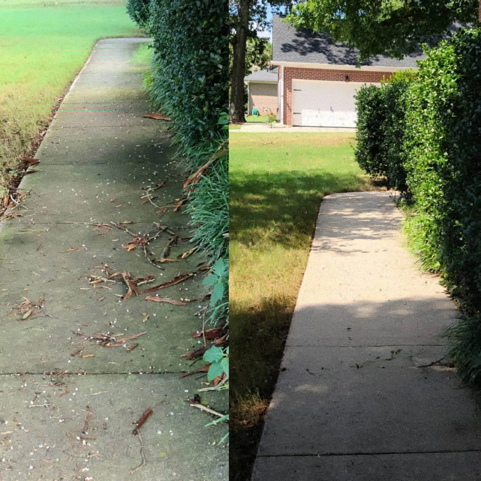 a sidewalk with grass and trees