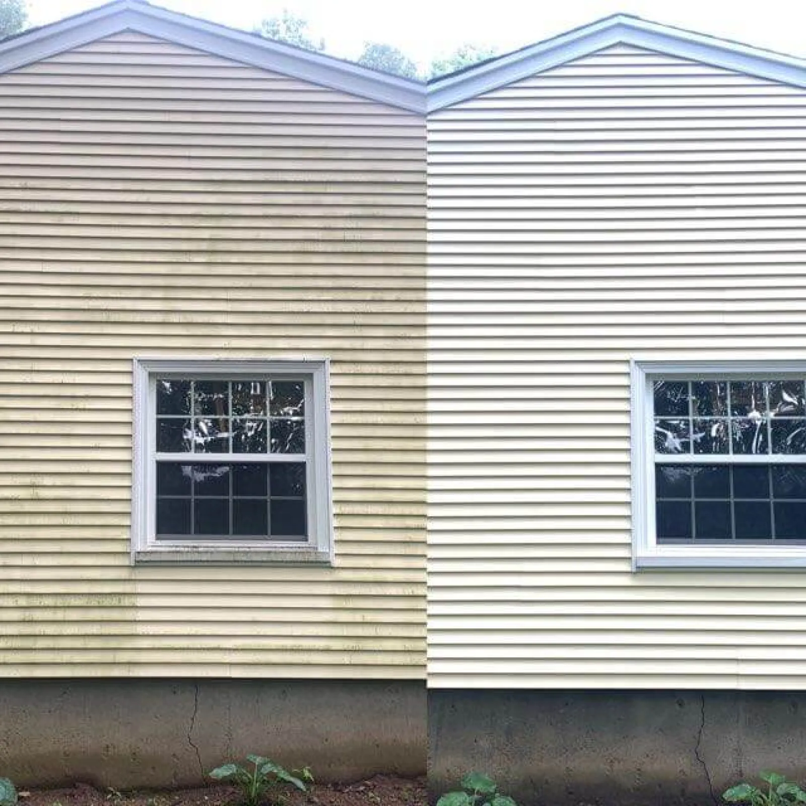 a house with windows