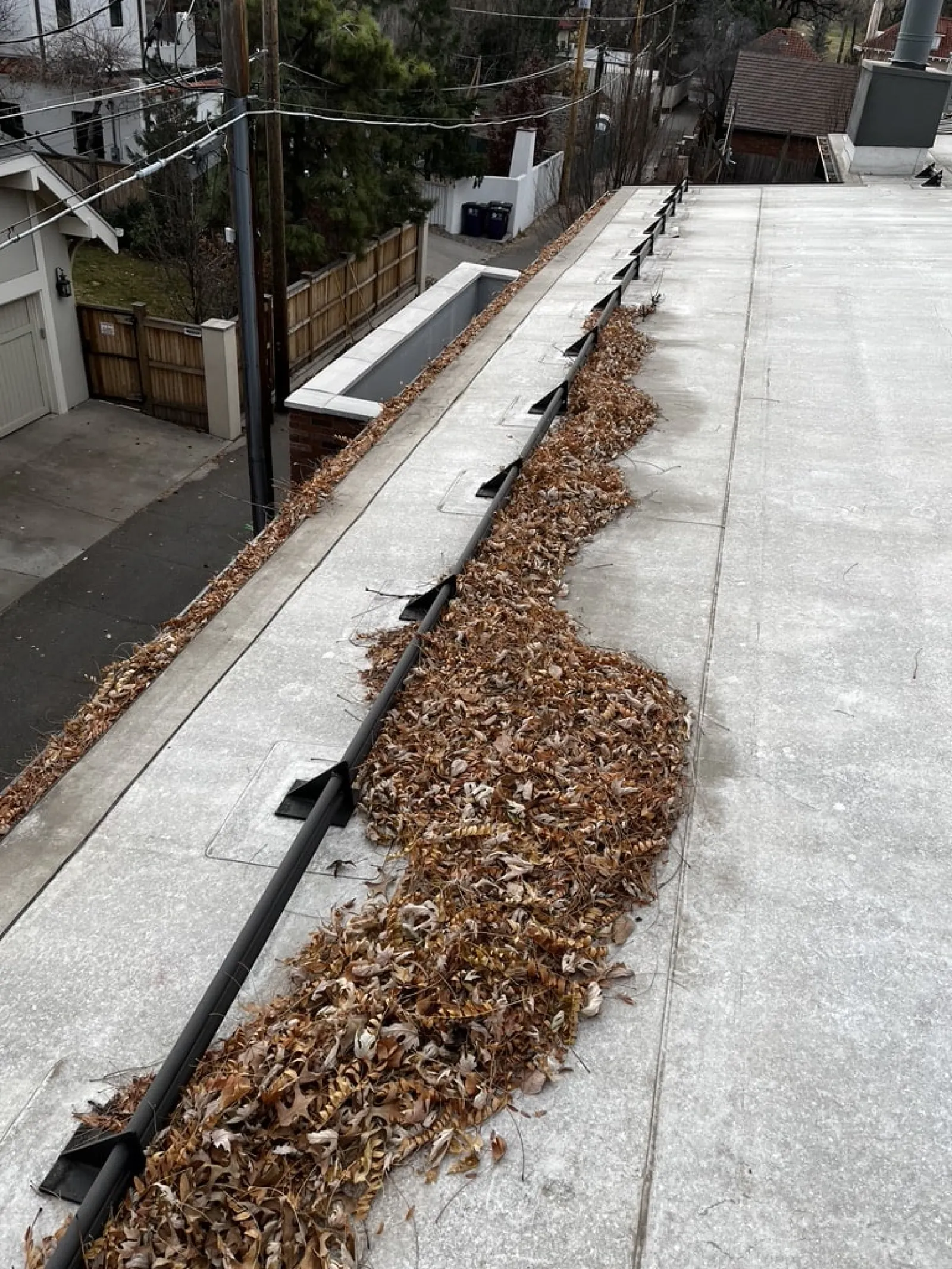 a sidewalk with leaves on it