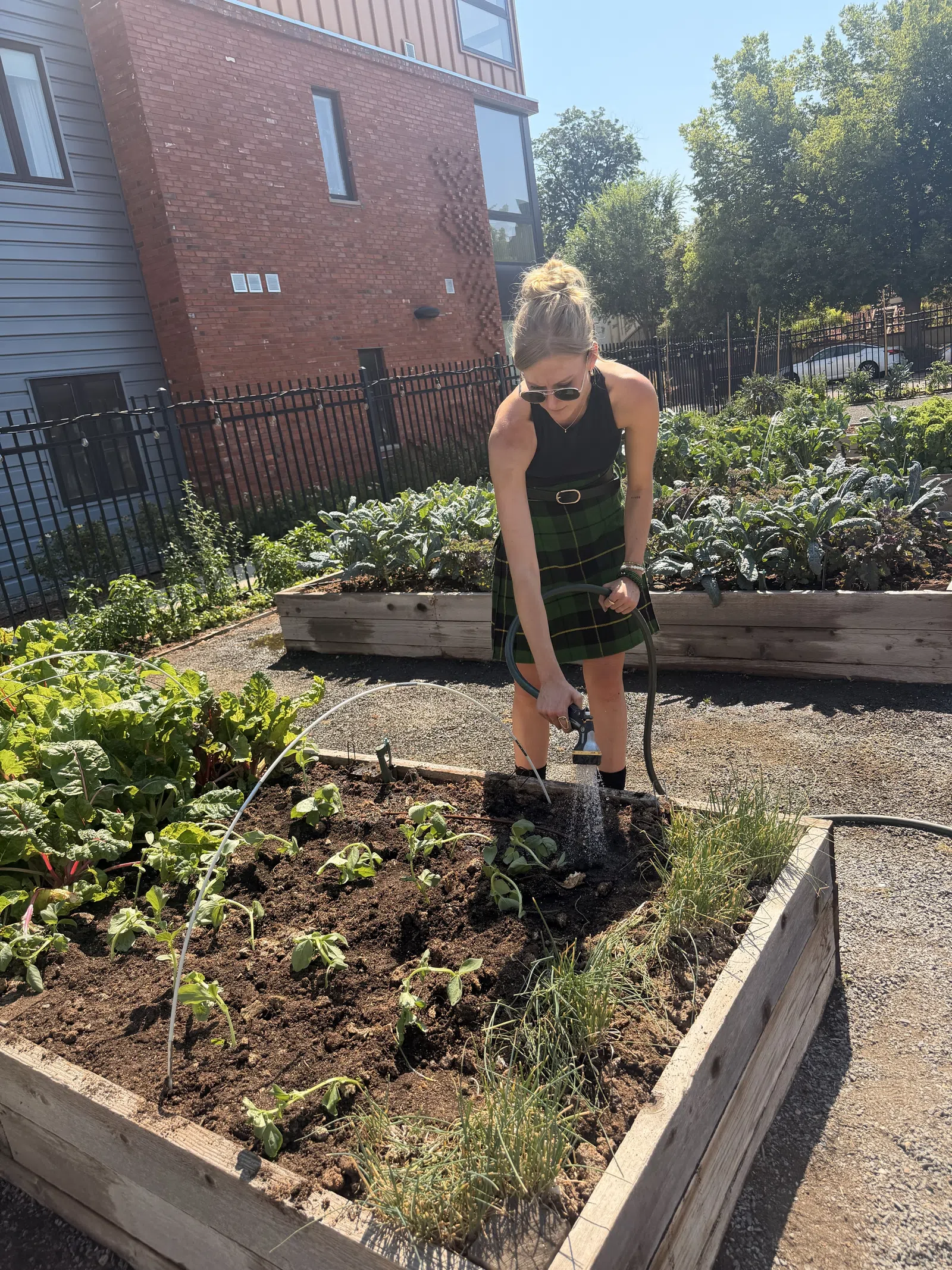 Woman watering plants in a raised garden bed on a sunny day near residential buildings.