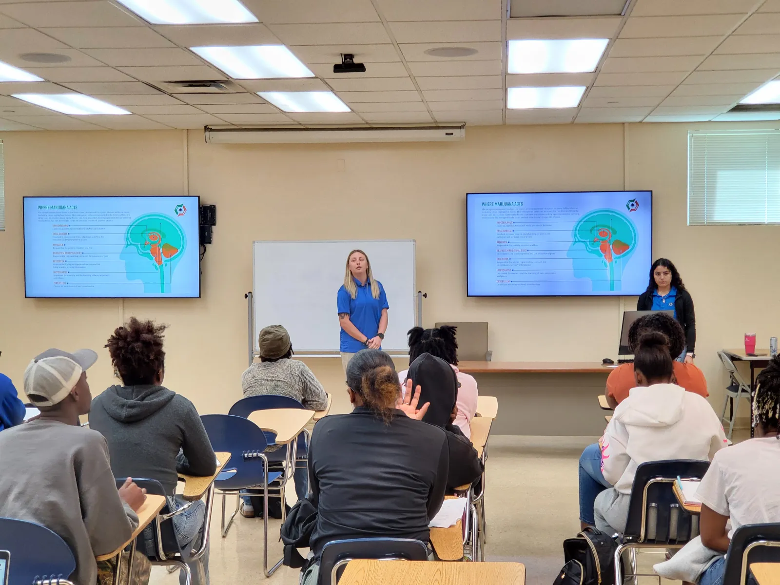 a person giving a presentation to a group of people