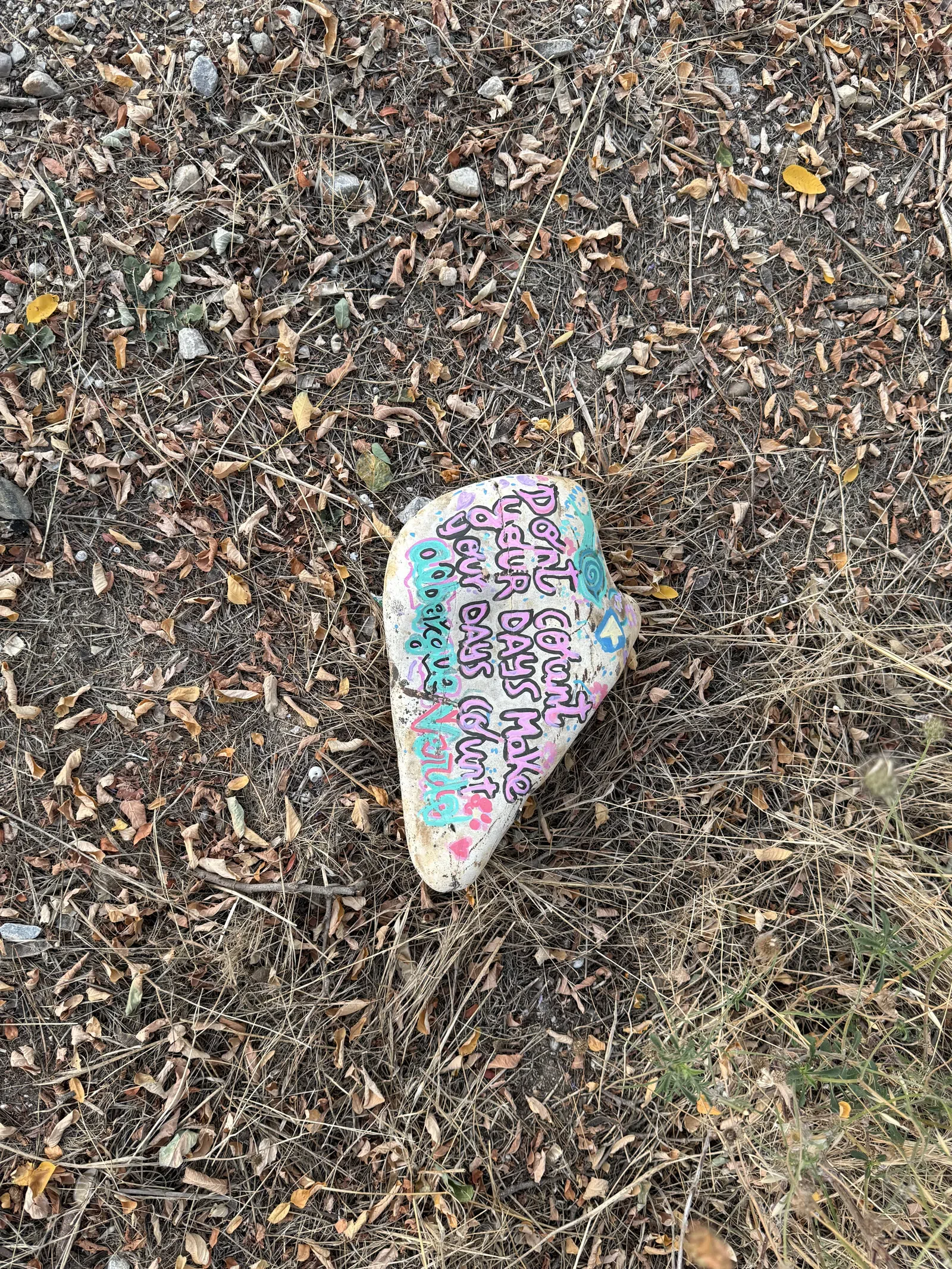 Painted rock with inspirational quote lies on dry grass and scattered leaves outdoors.