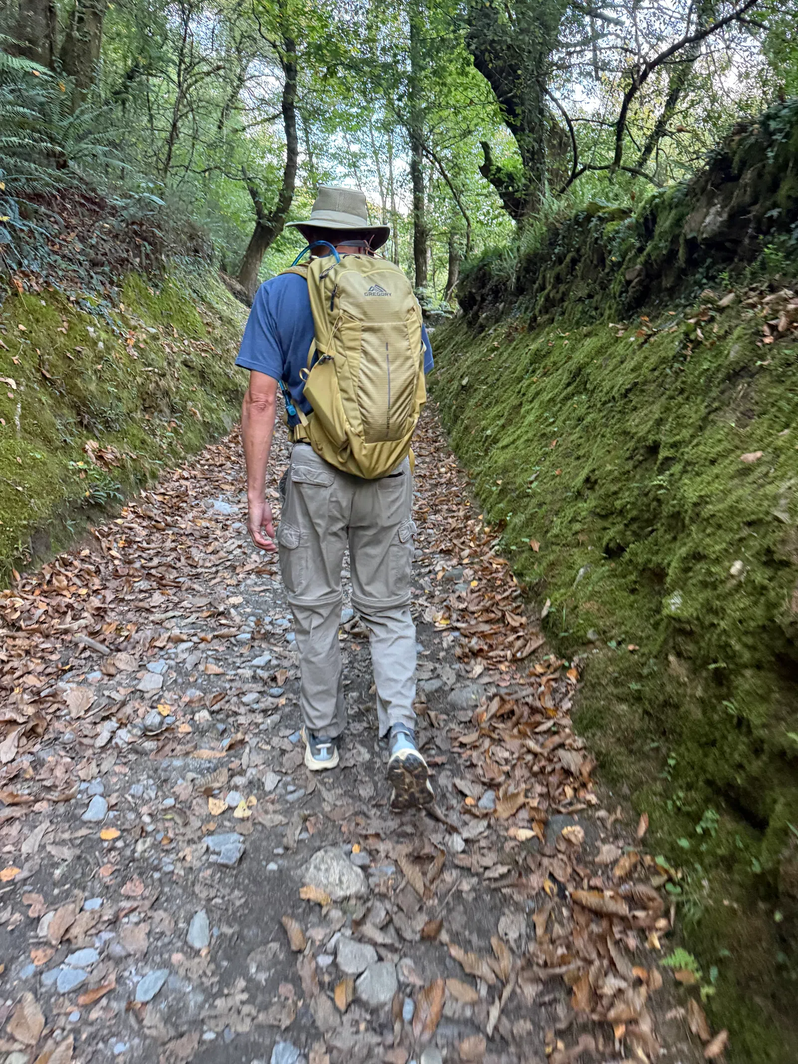 Hiker wearing a hat and backpack walking on a leaf-strewn forest trail surrounded by moss-covered banks.