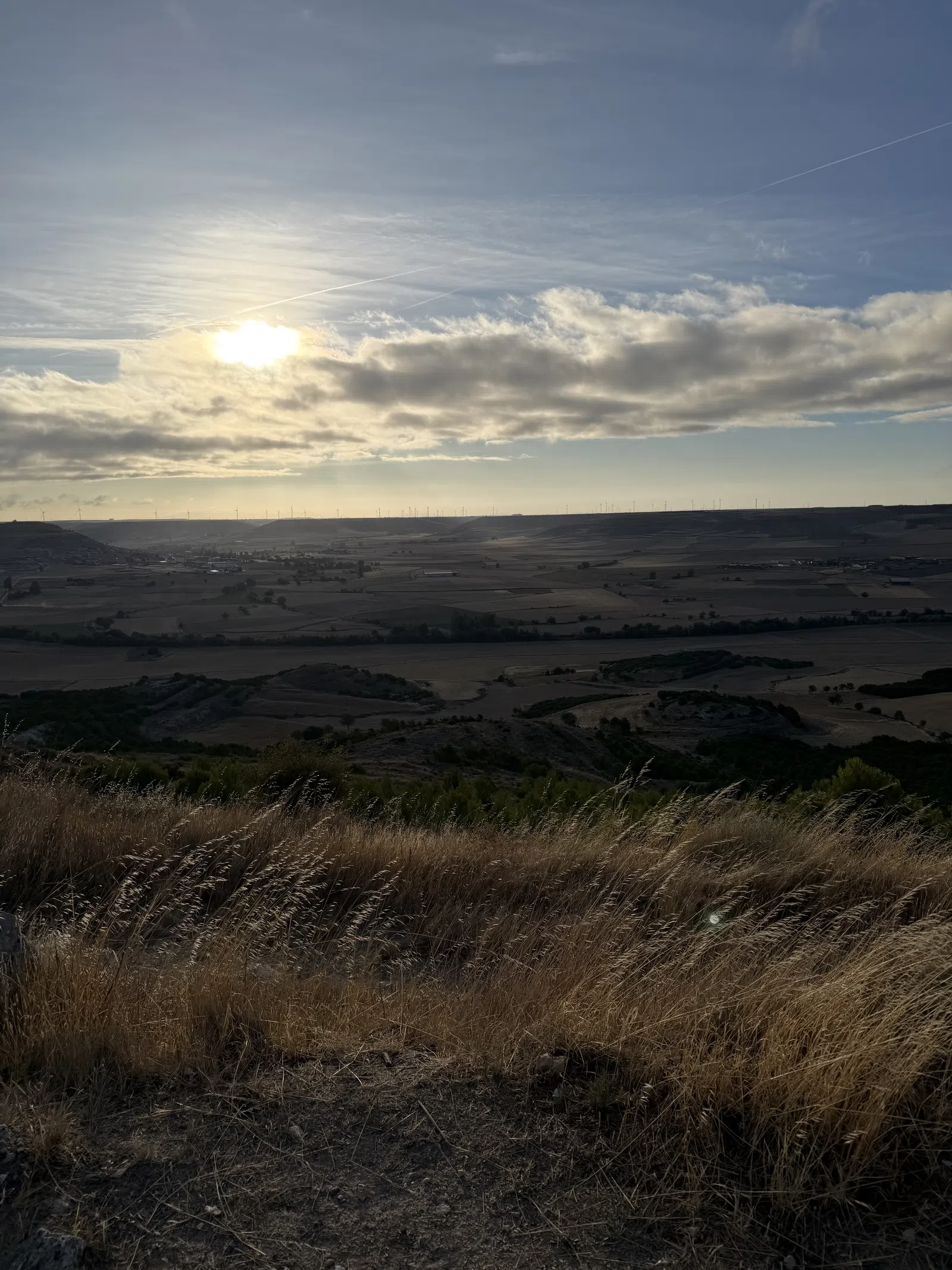 Sunset over rolling fields with dry grass in foreground and a partly cloudy sky