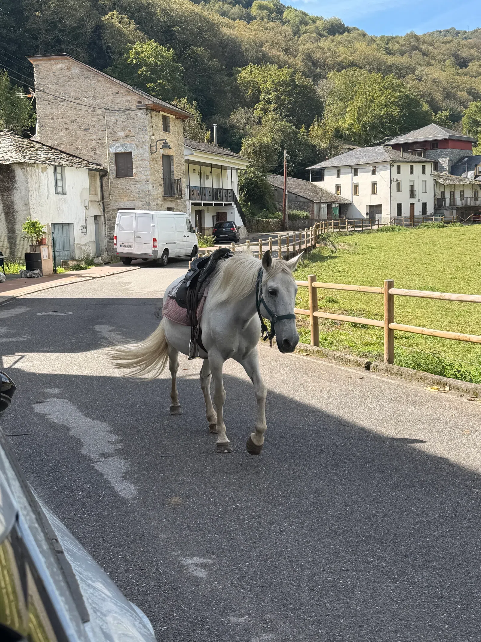 White horse with saddle walking on village road near stone houses and green hillside under clear sky.