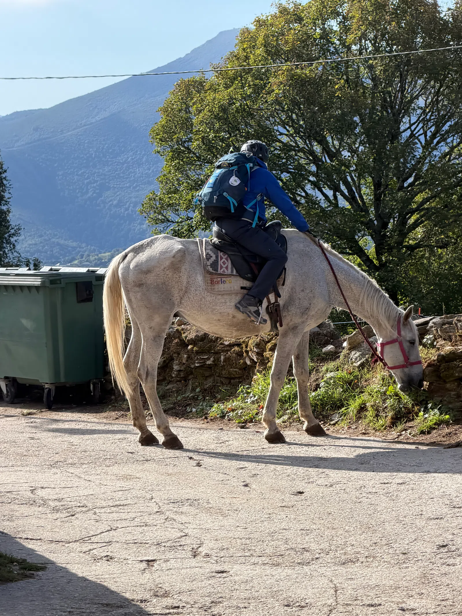 Person in blue jacket and helmet riding white horse near green trash bins and trees under mountain sky.