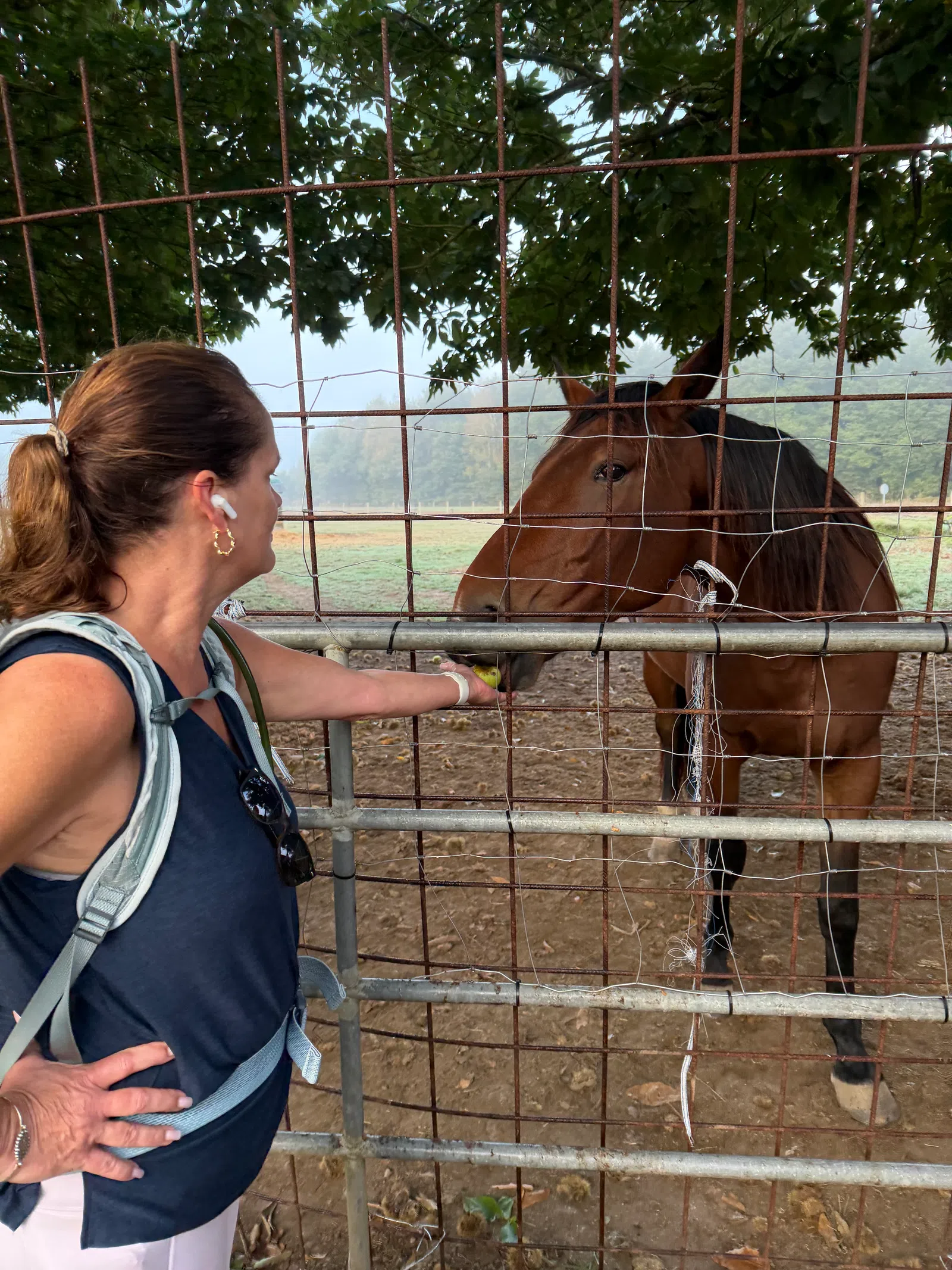 Woman with earbuds feeding a brown horse through a wire fence in a rural, tree-shaded a
