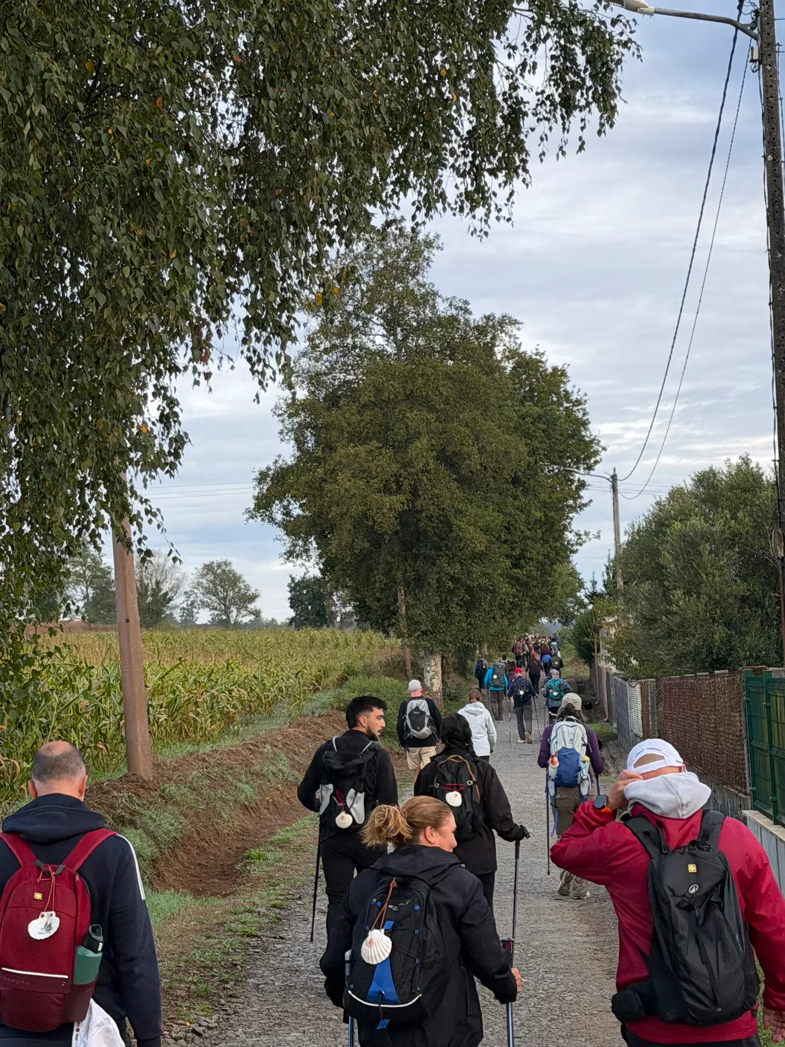 Group of hikers walking on a rural path surrounded by trees and fields under a cloudy sky