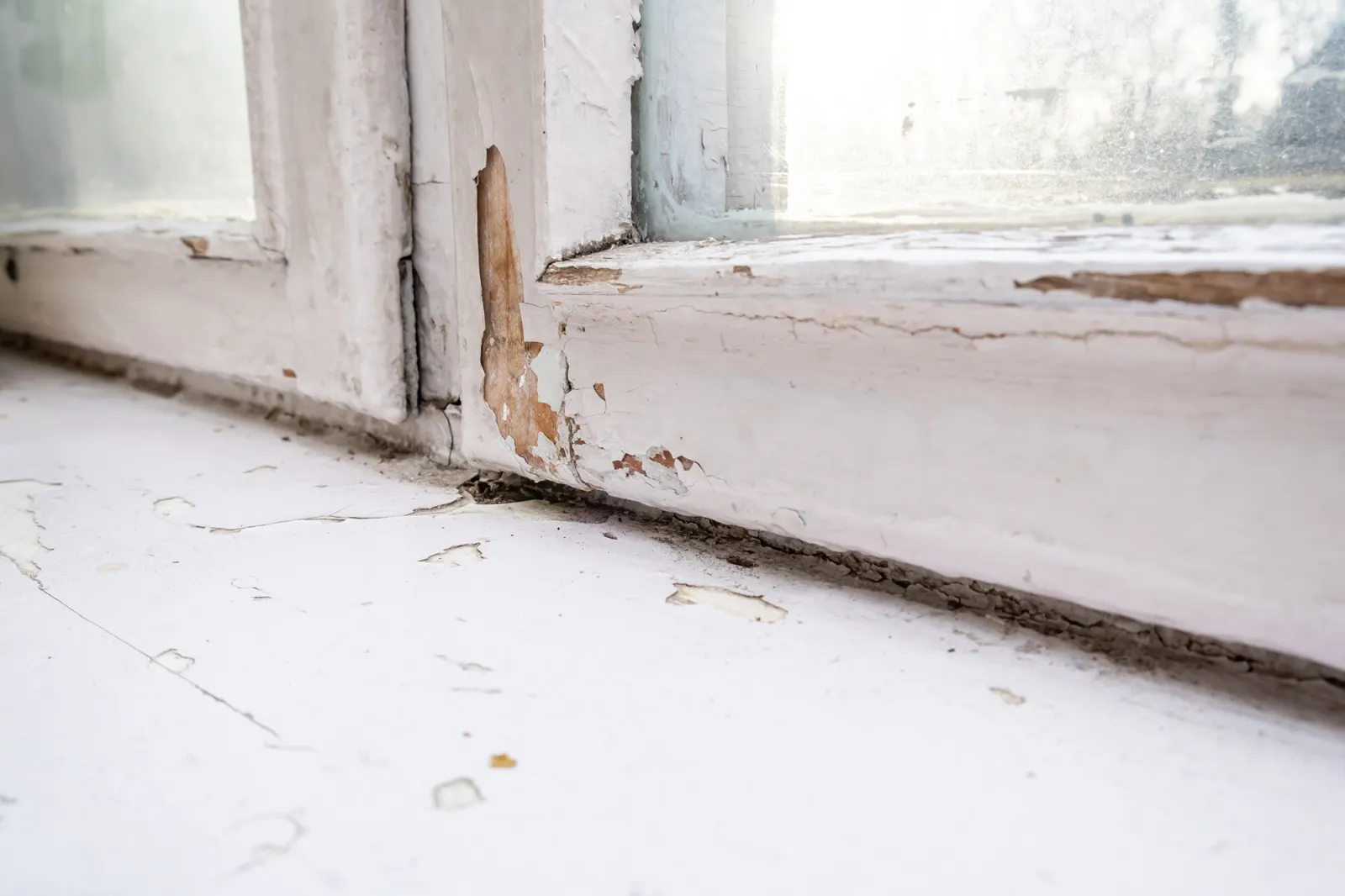 Close up of a rotten wood frame and window sill
