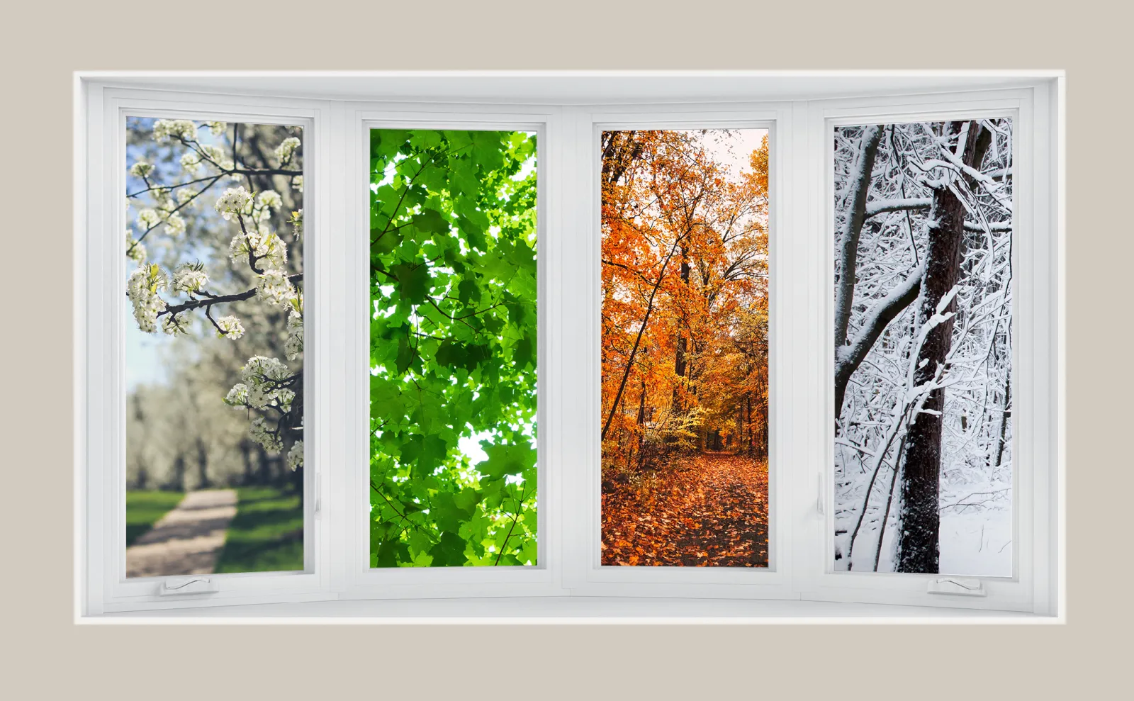 window graphic with the 4 seasons. 1 in each pane