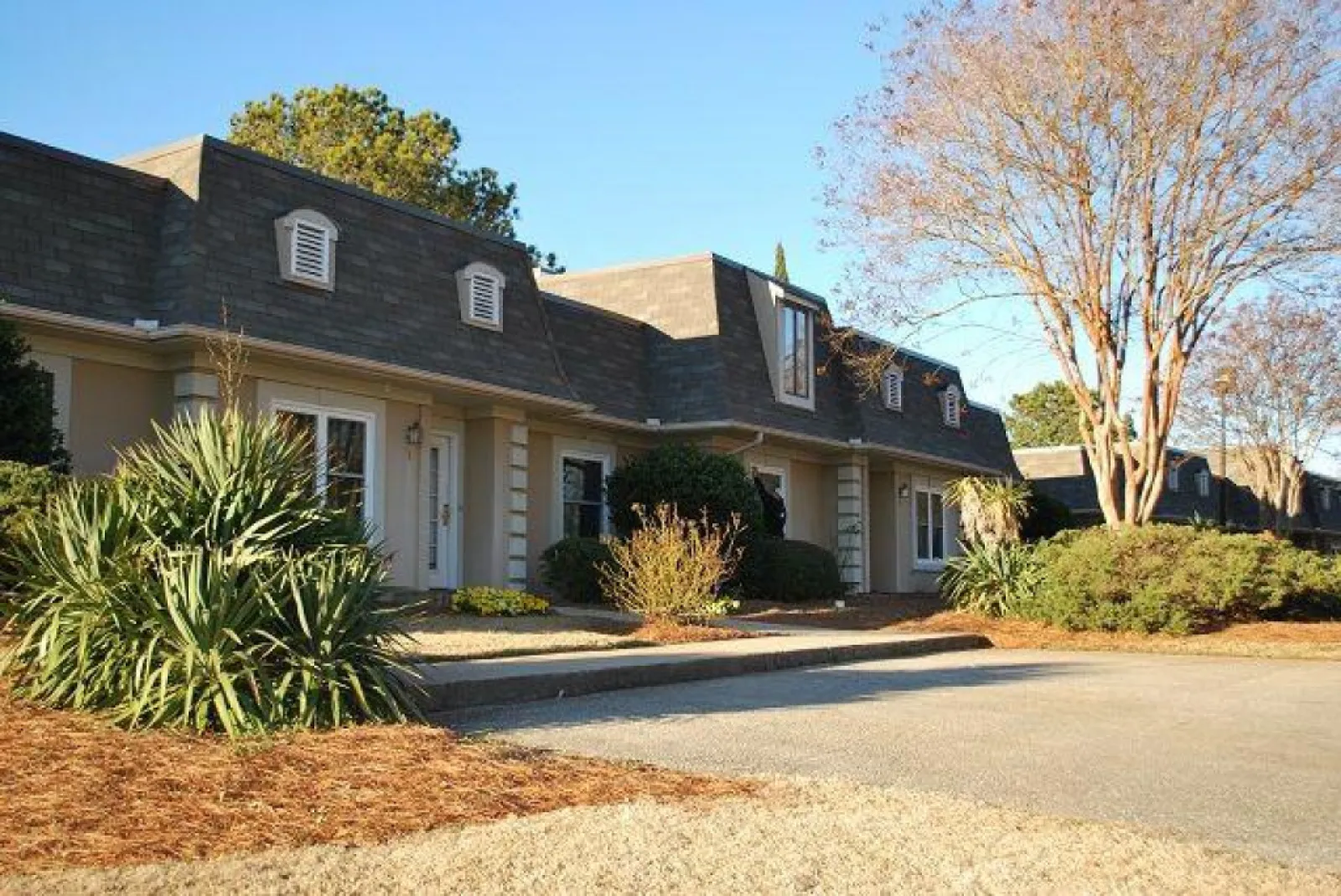 Row of single-story townhouses with manicured shrubs and large deciduous trees on a clear sunny day