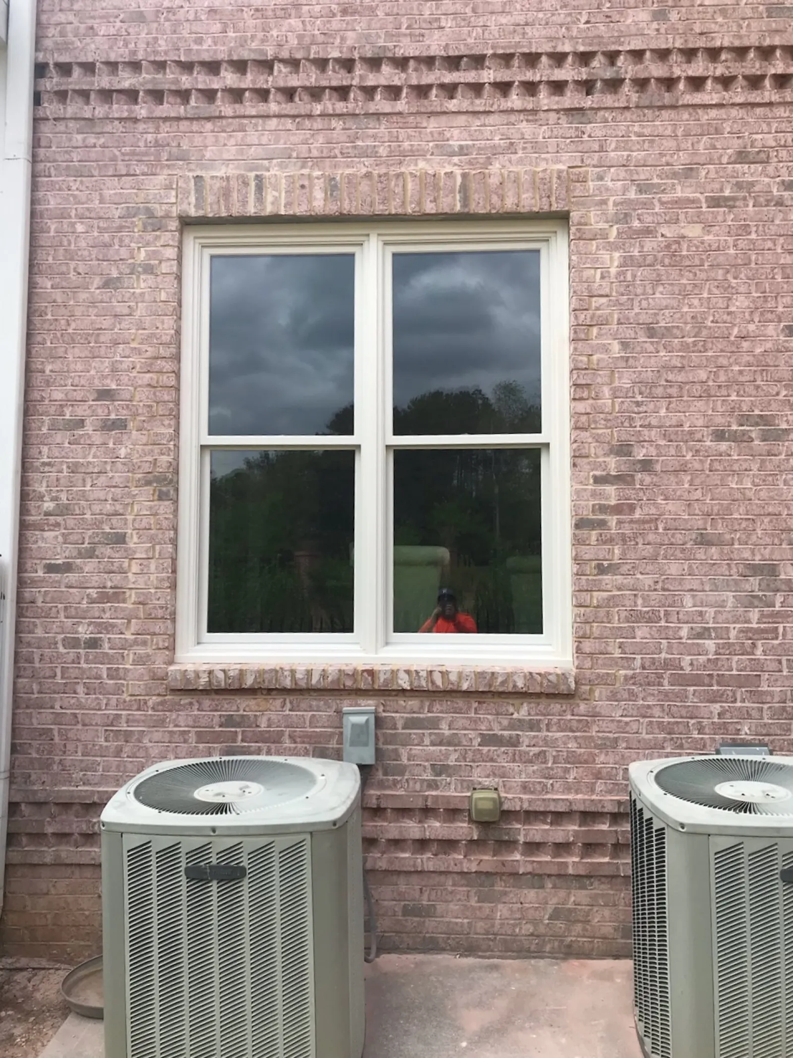 a cat sitting in a window