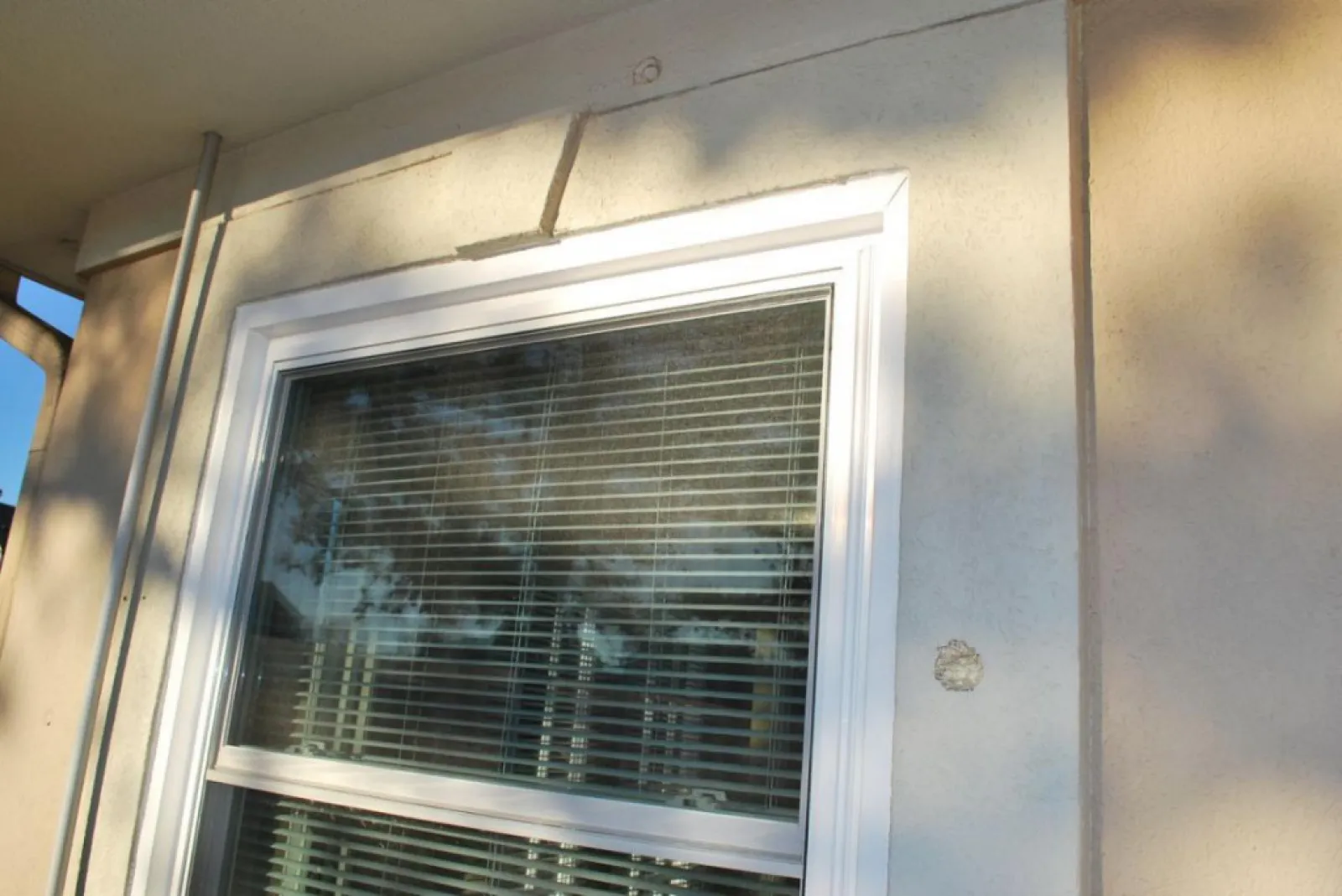 White-framed window with horizontal blinds on beige stucco wall reflecting trees and sky outdoors.