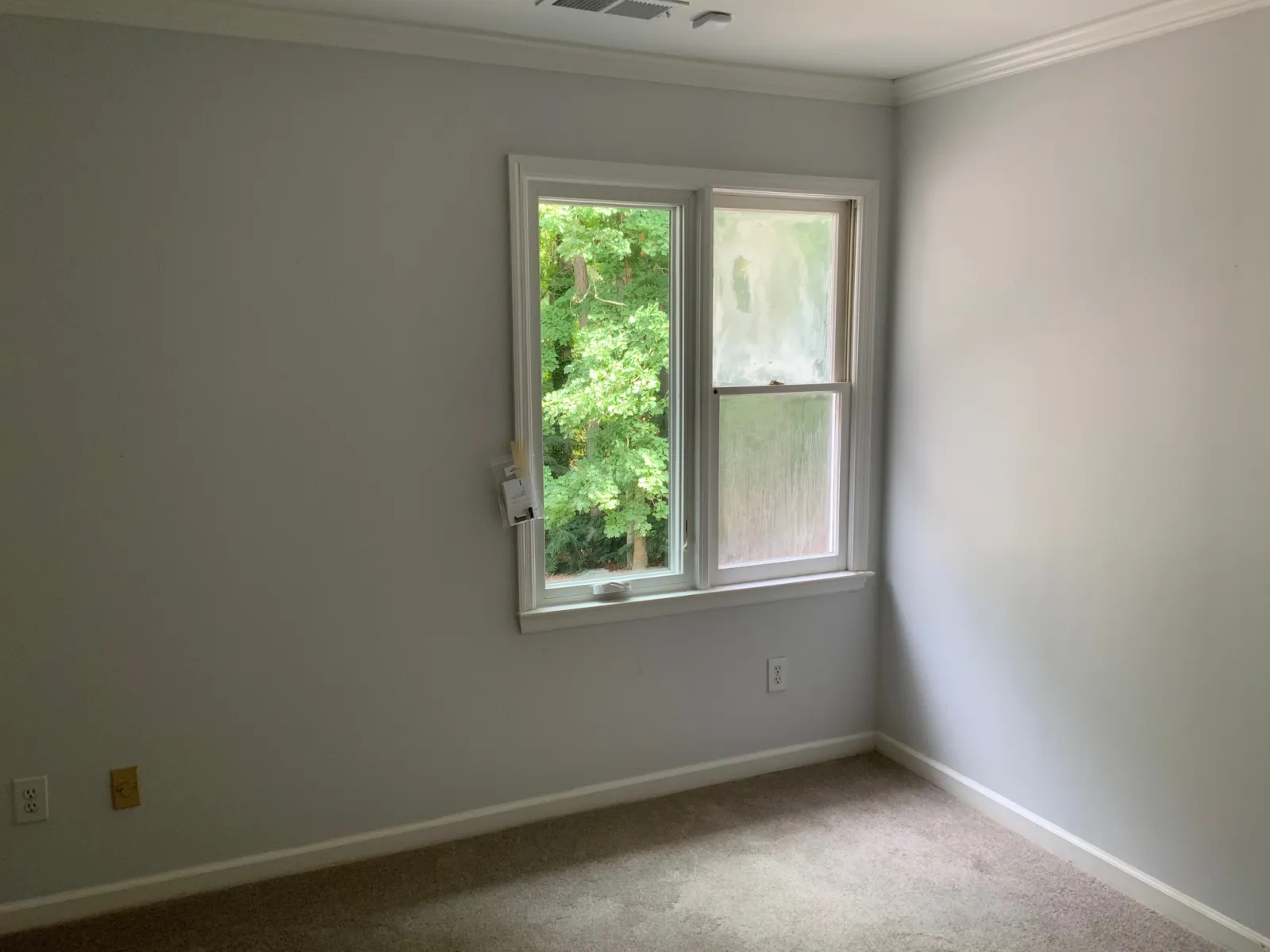 a room with a window and a tree outside