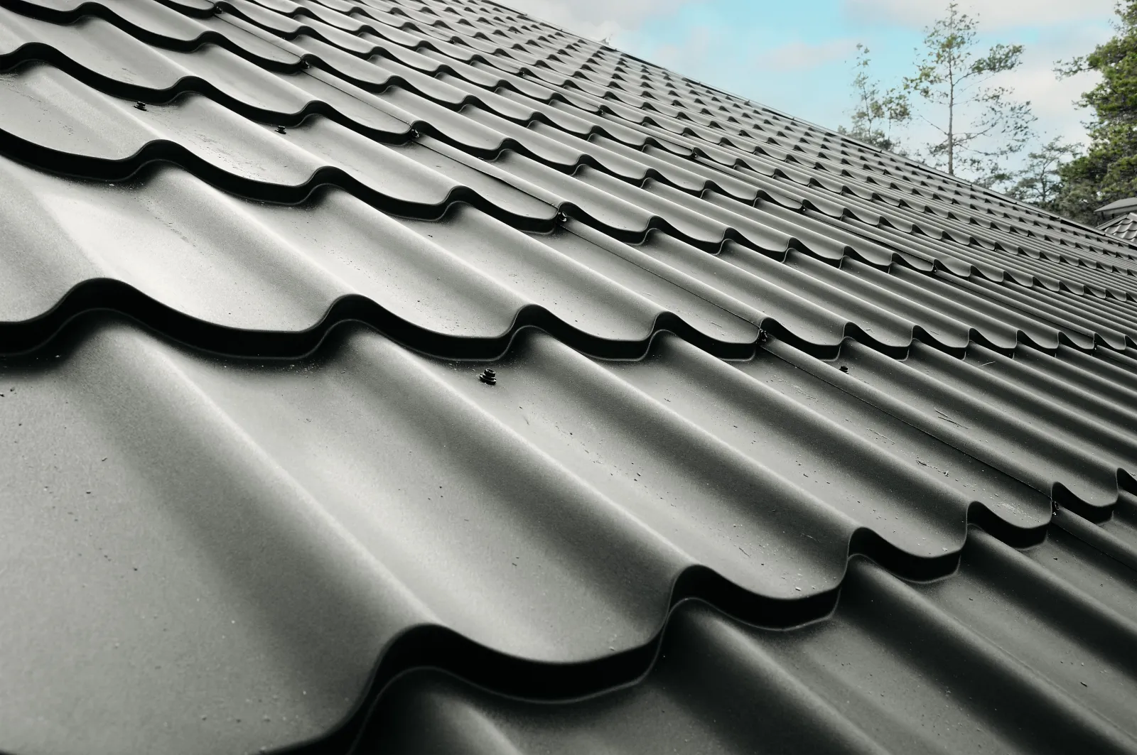 Metal Roofing