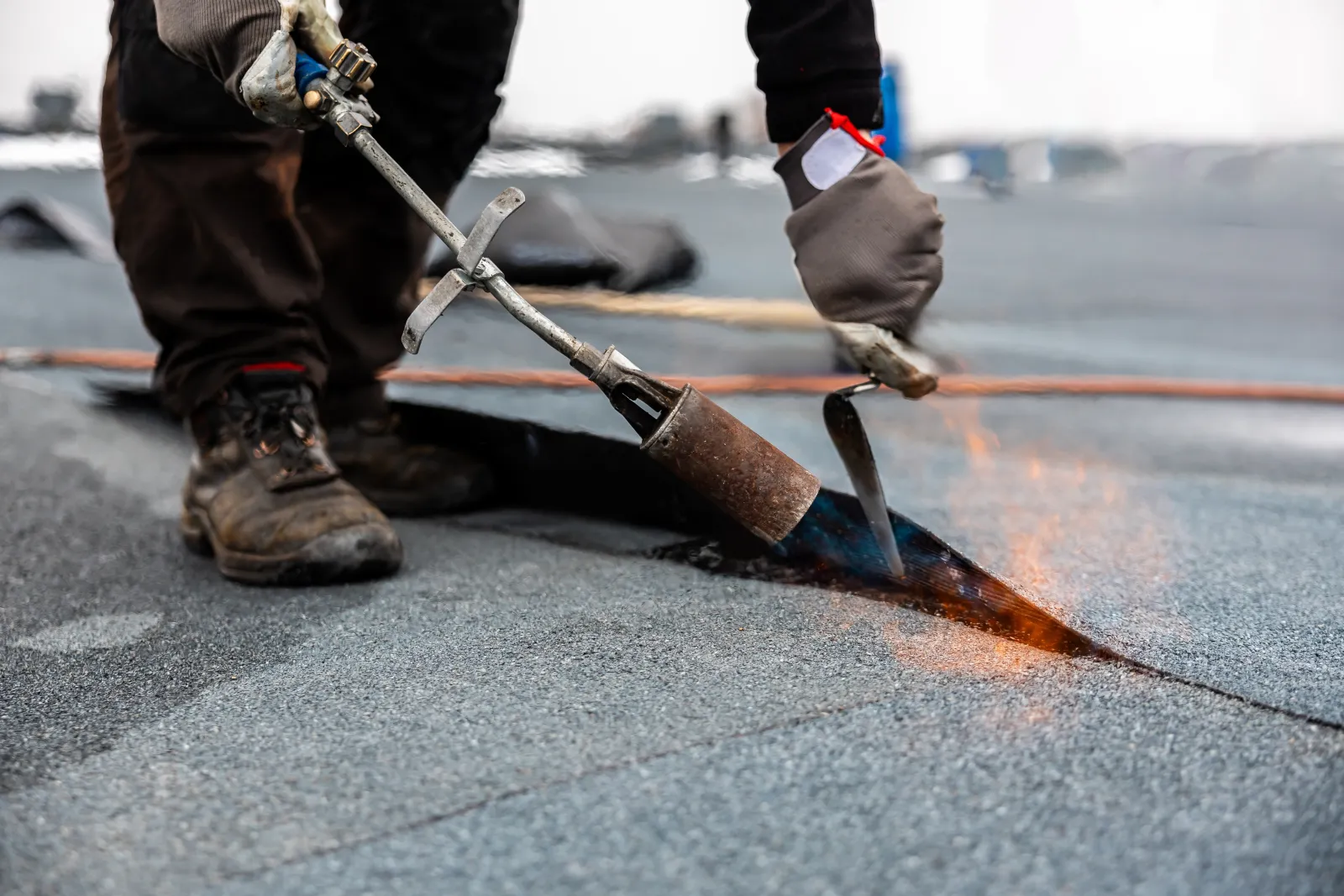 Shingles maintenance