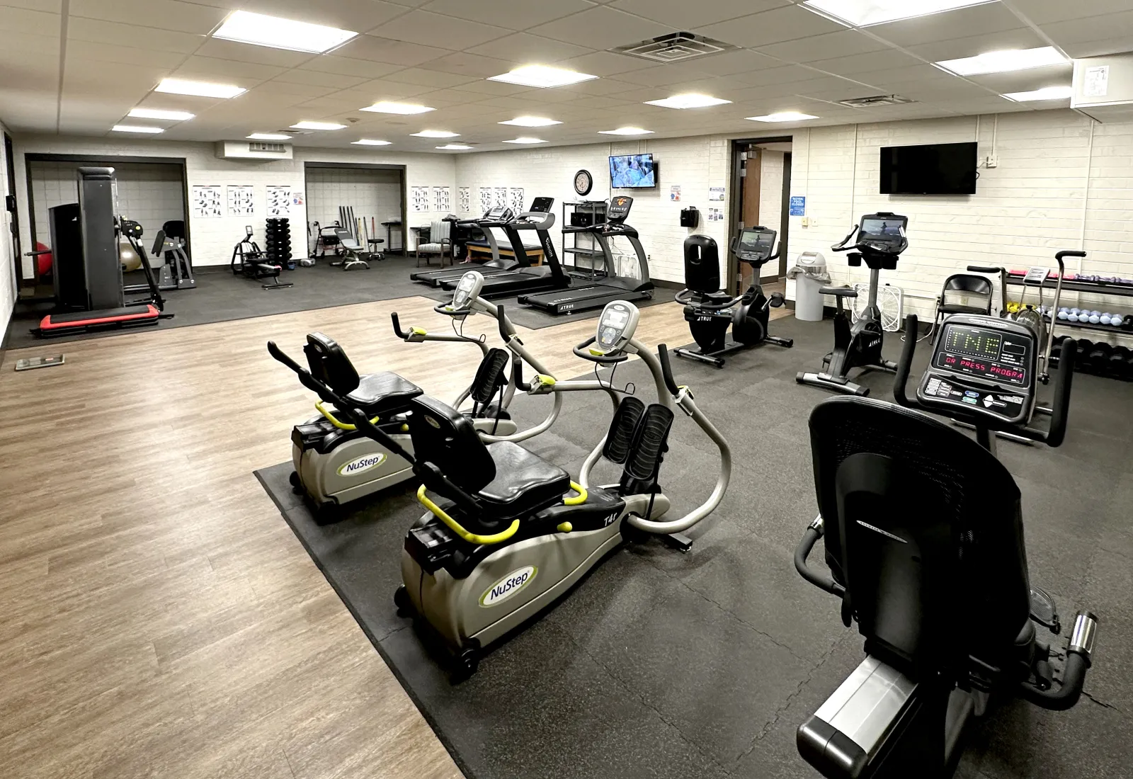 Modern gym interior featuring various exercise equipment and cardio machines on a spacious floor.