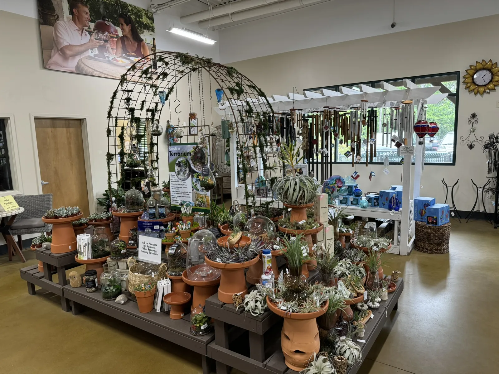 Indoor display of terrariums, air plants, and garden decor arranged on wooden platforms with an arch trellis above.