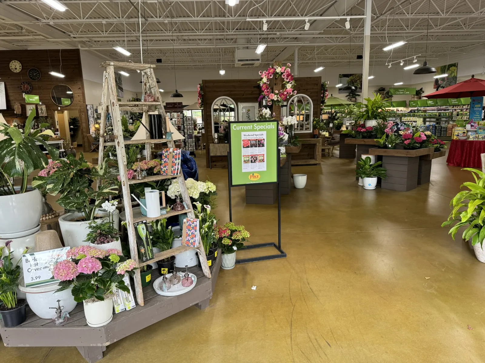 Interior of a garden center with various potted plants, flowers, and promotional signage under bright lighting.