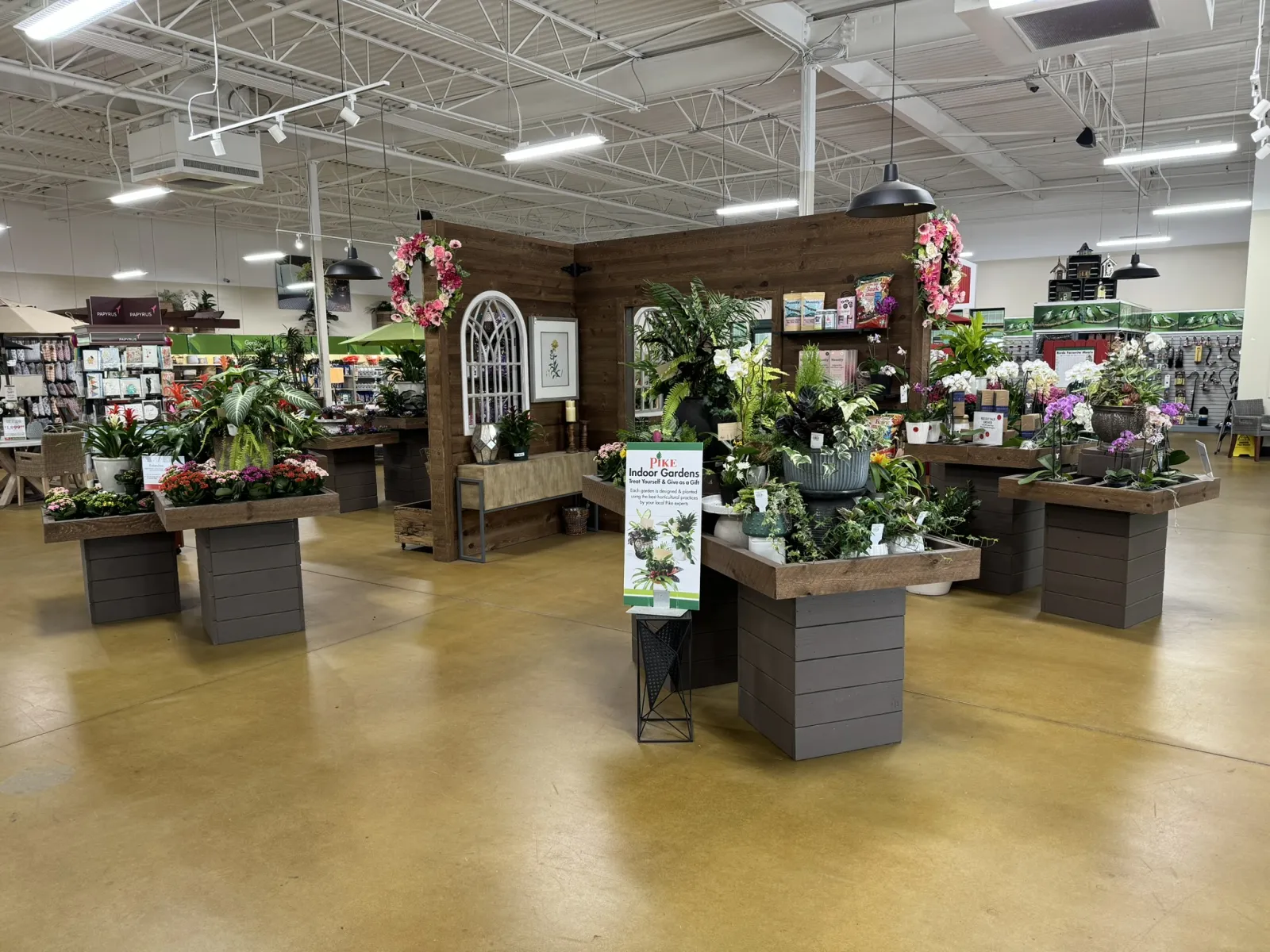 Indoor garden section in a store with various potted plants and flowers displayed on wooden tables.