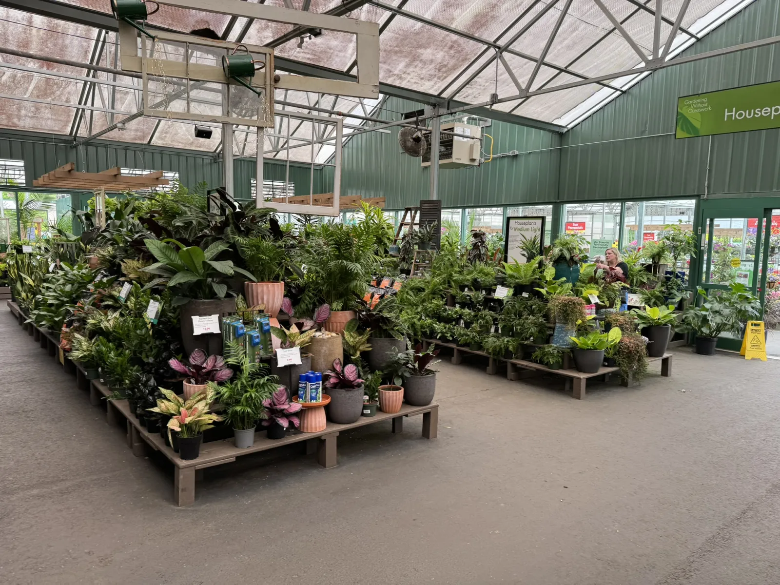 Indoor garden center with diverse potted houseplants arranged on raised platforms in a greenhouse setting.
