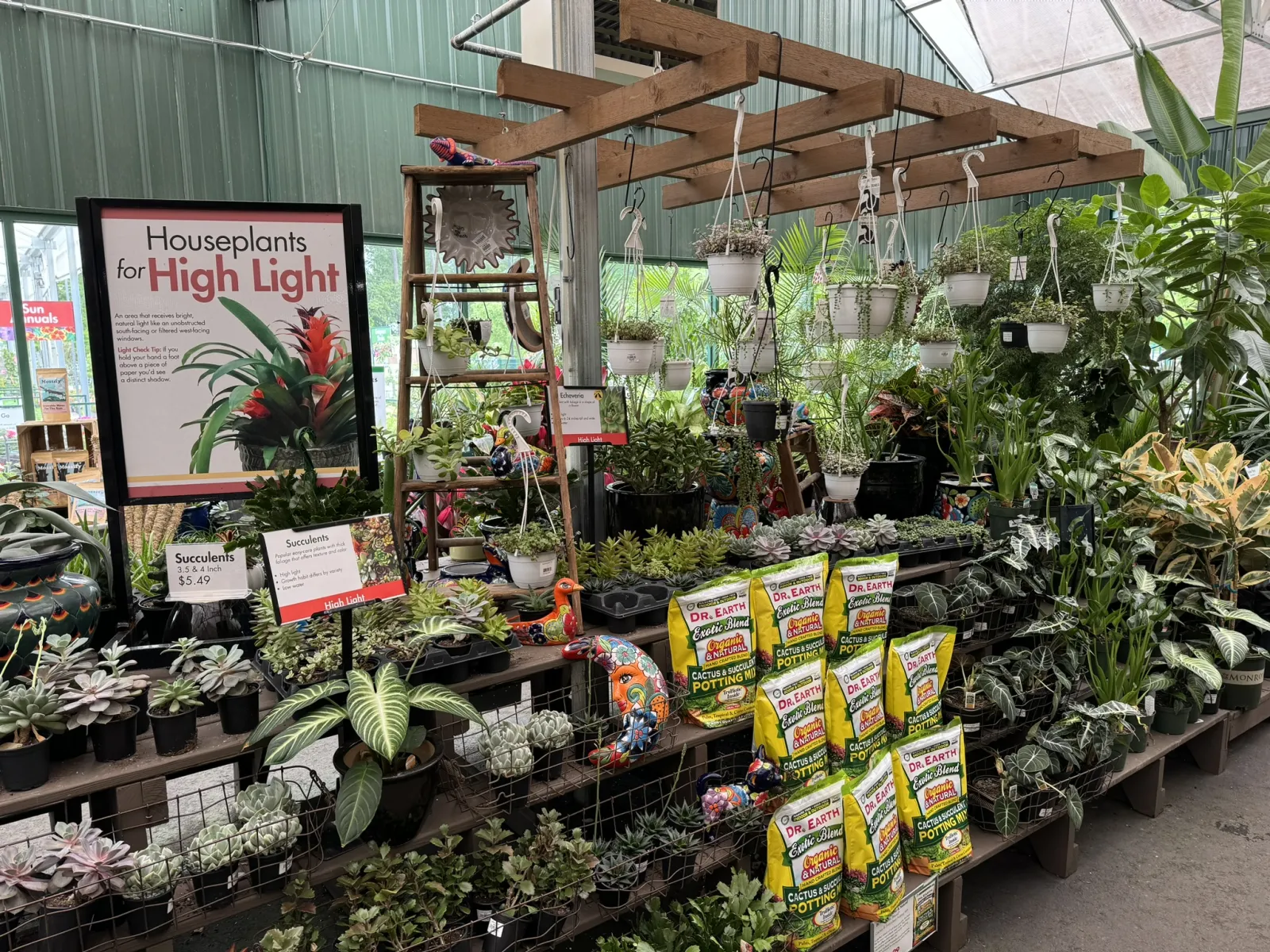 Greenhouse section displaying houseplants, succulents, hanging pots, and Dr. Earth cactus potting soil bags.