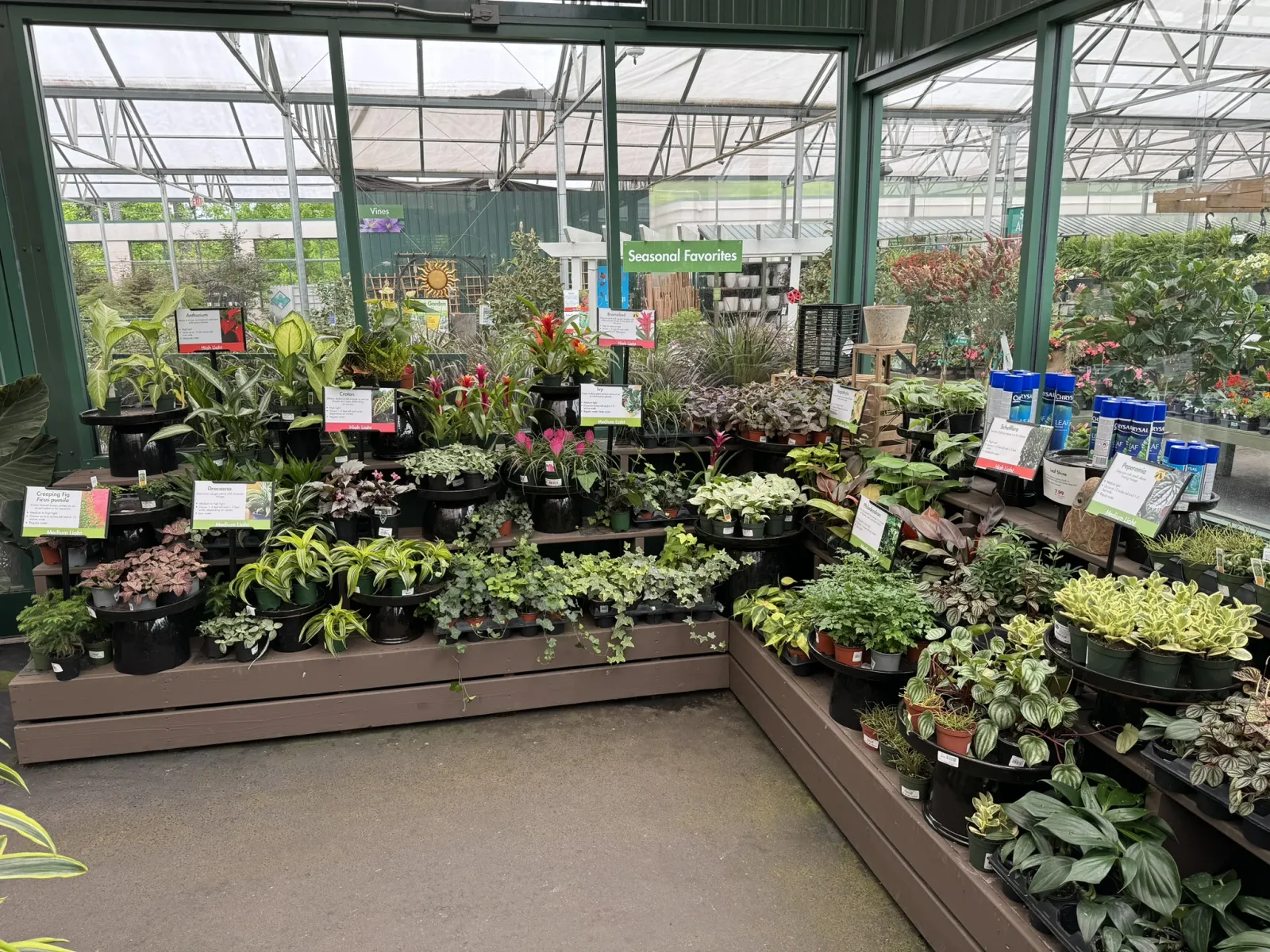 Indoor garden center display with a variety of potted plants labeled as seasonal favorites under natural greenhouse light.