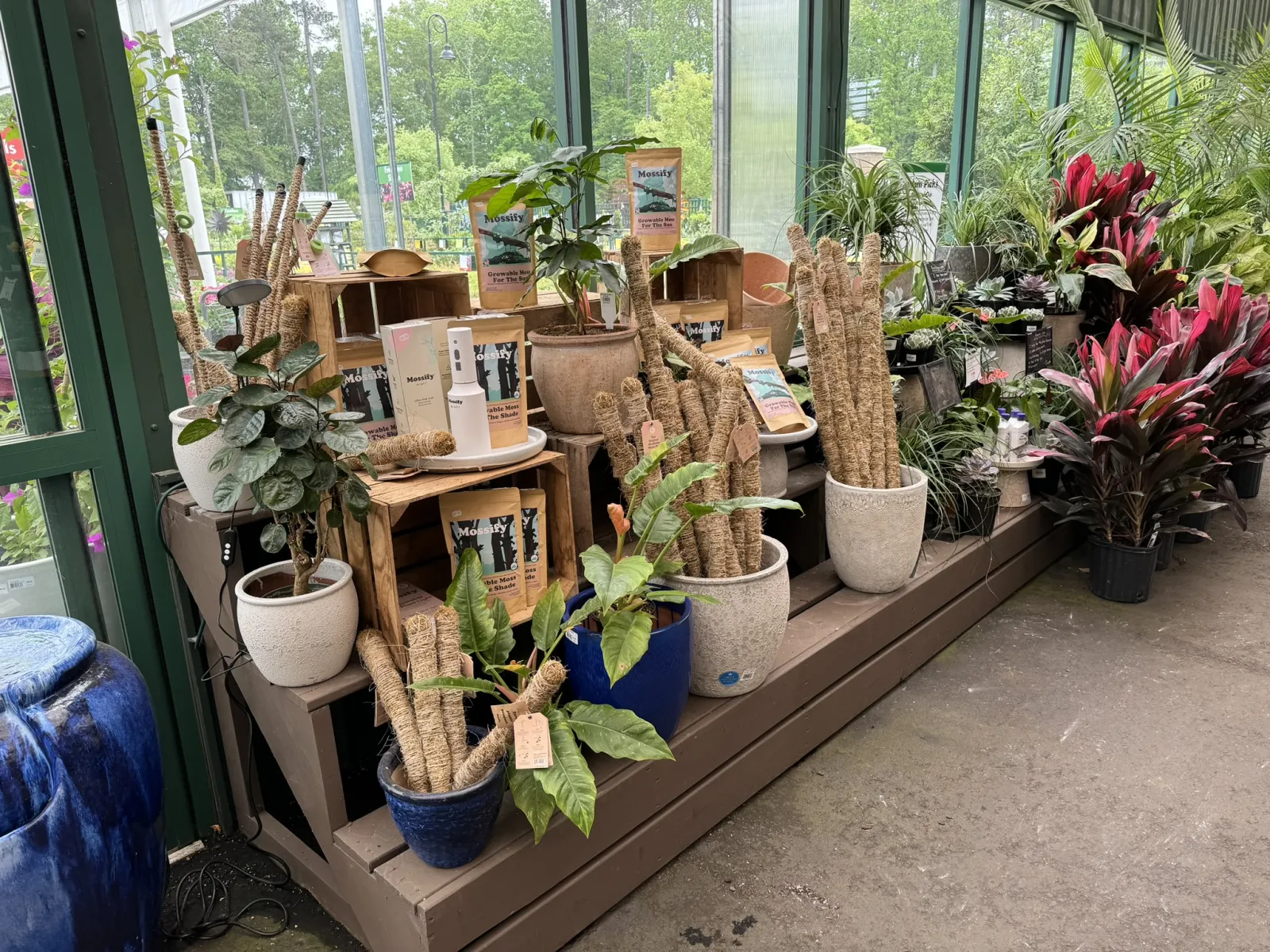 Indoor garden shop display with potted plants, moss poles, gardening products, and large windows letting in natural light