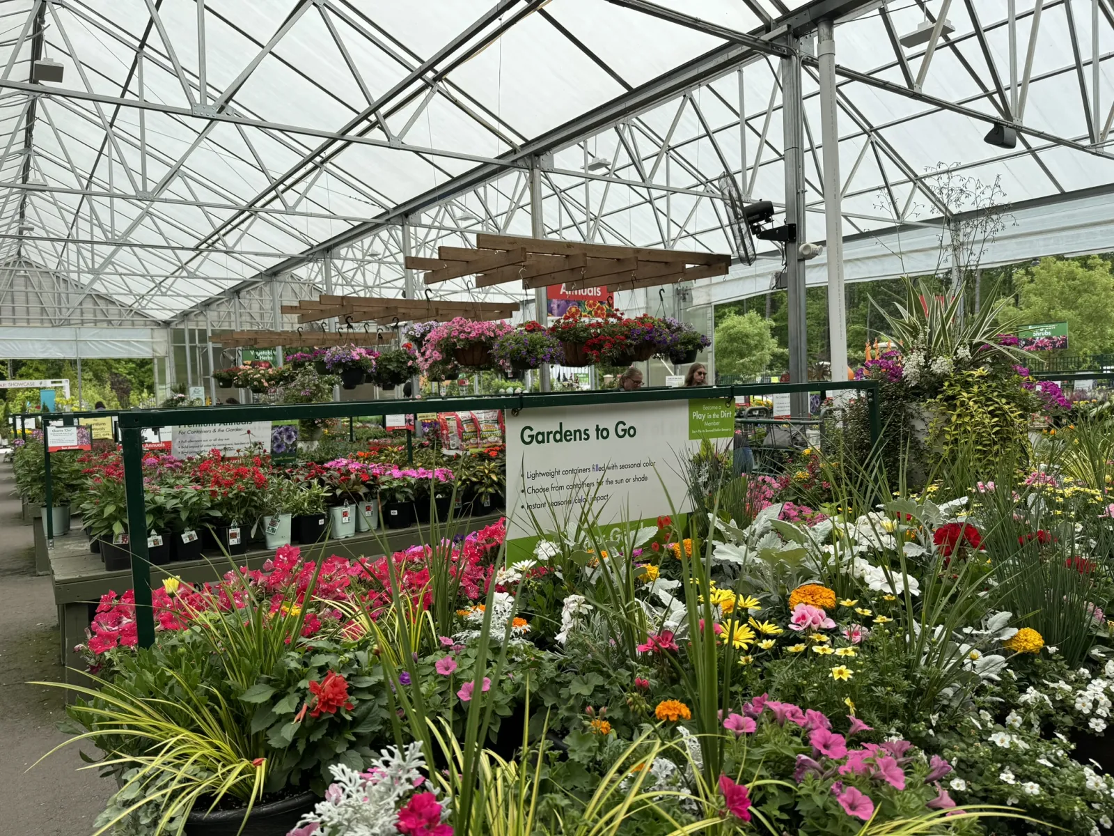 Colorful flowering plants and hanging baskets displayed inside a large greenhouse nursery
