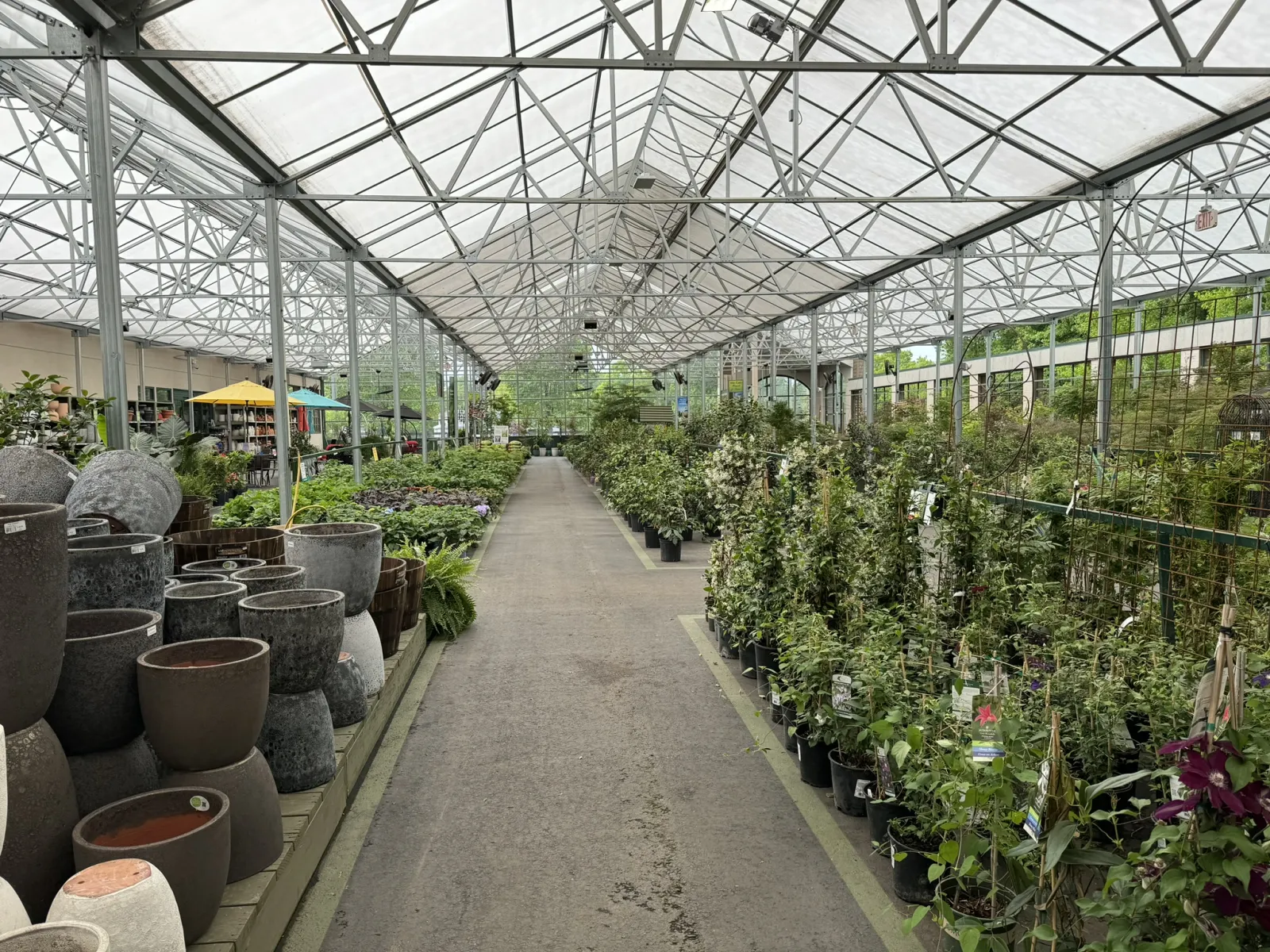 Indoor greenhouse aisle filled with plants and large ceramic planters under a glass roof
