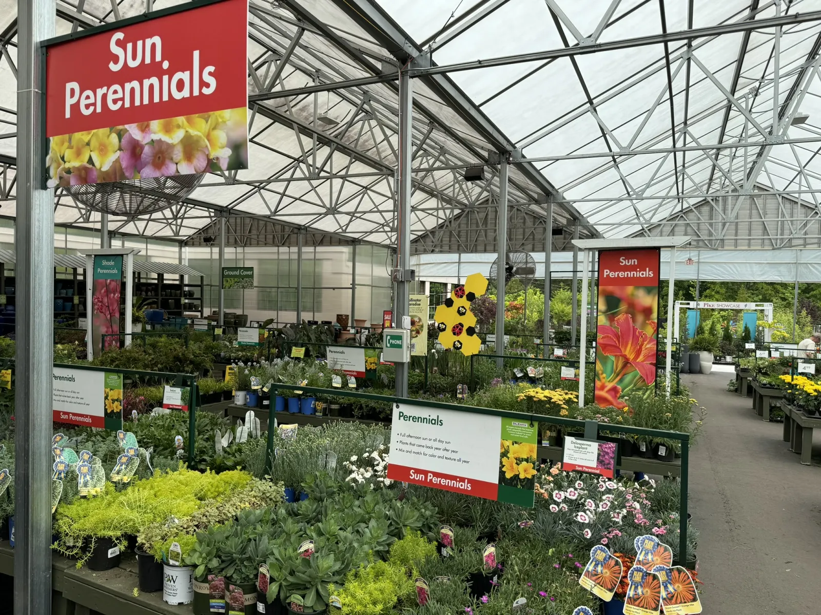 Greenhouse section with diverse sun perennial plants and colorful signage at a garden center.