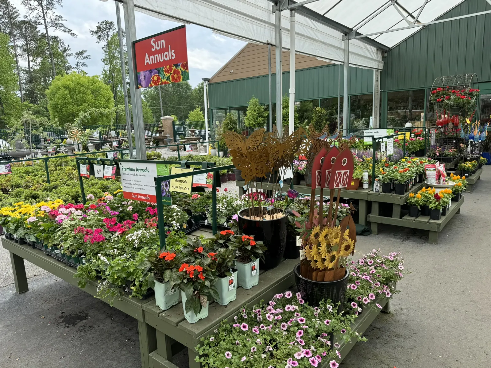 Sun Annuals flower plants on display tables under a white canopy at a garden center on a sunny day