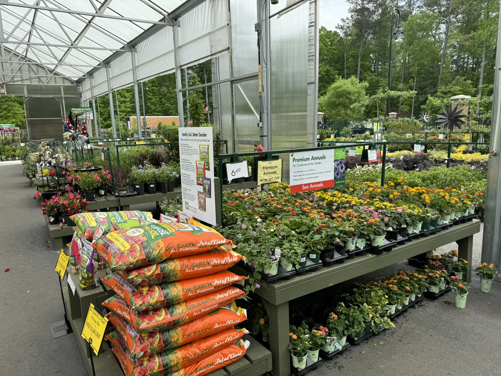 Outdoor garden center greenhouse with rows of colorful flowering plants and bags of all-purpose potting soil.