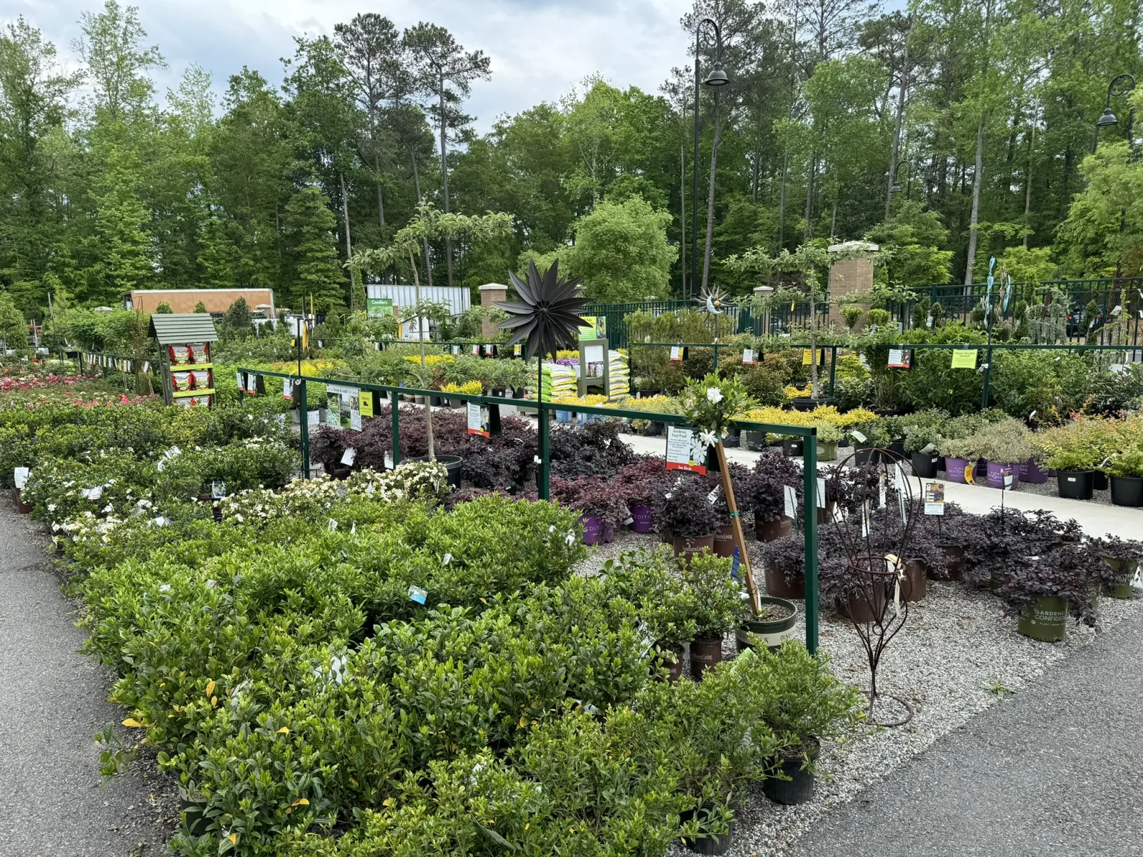 Outdoor garden center with rows of green and flowering plants in pots and a wooded background under overcast sky.