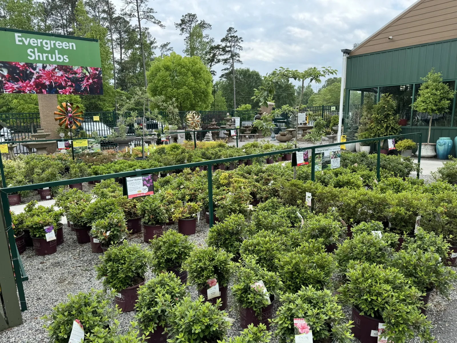 Outdoor nursery section with rows of potted evergreen shrubs under a green sign on a cloudy day.