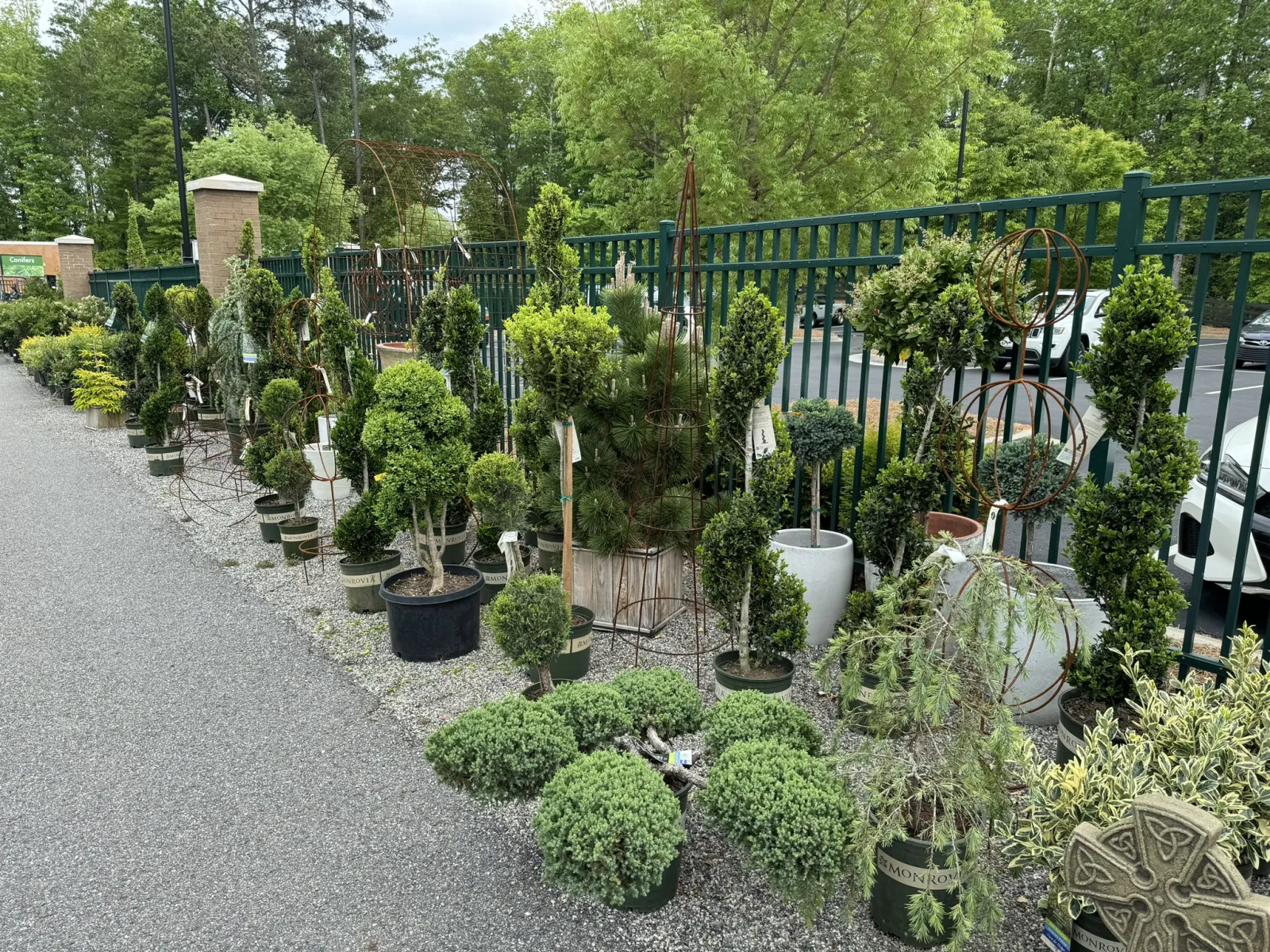 Row of various potted topiary and sculpted evergreen plants lined along a fence on gravel ground.