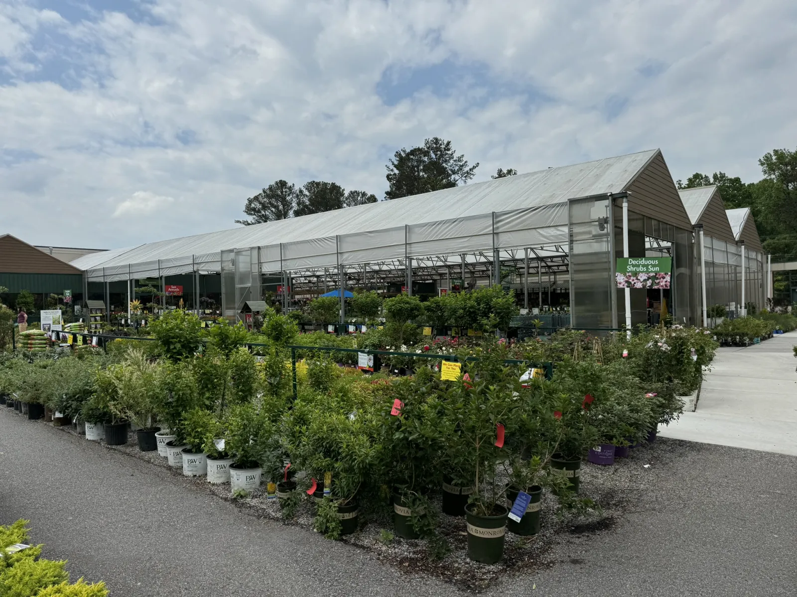 Outdoor plant nursery with various potted shrubs and flowers displayed around a large greenhouse under a partly cloudy sky.